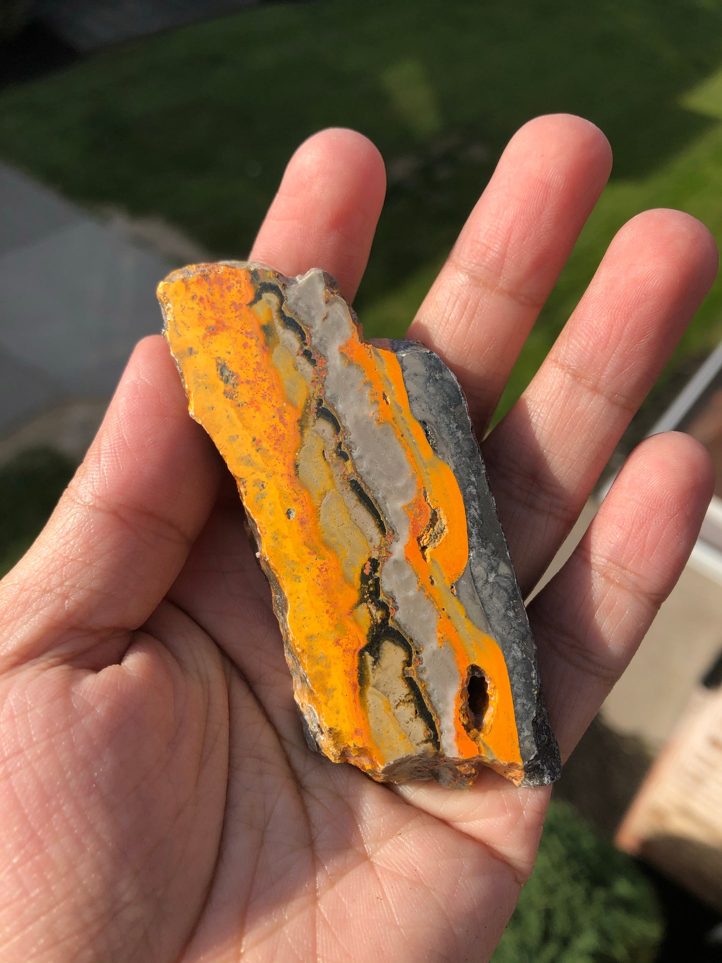 Bumblebee Jasper Slab