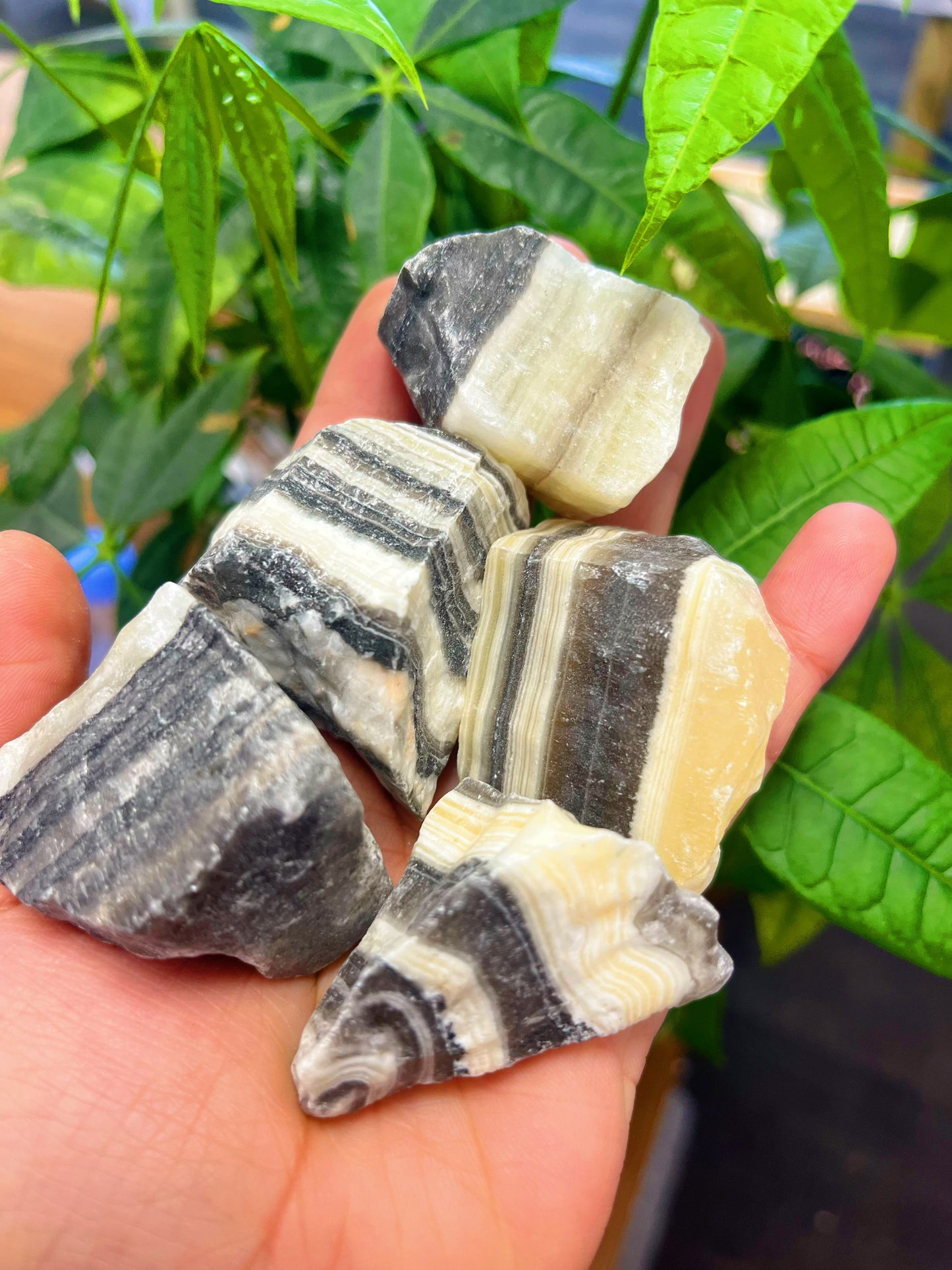 Zebra Calcite Small Rough