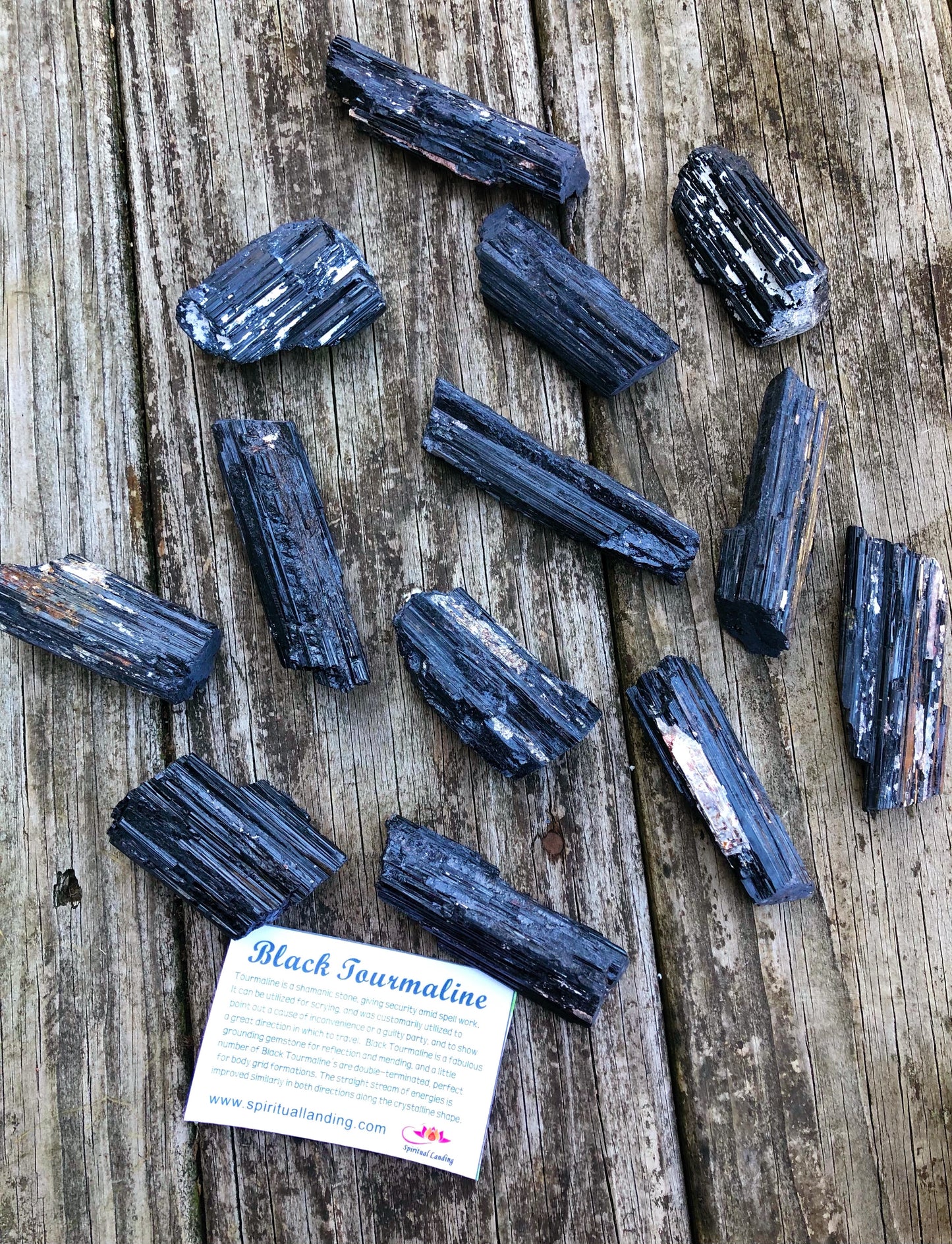 Rough Black Tourmaline Specimens