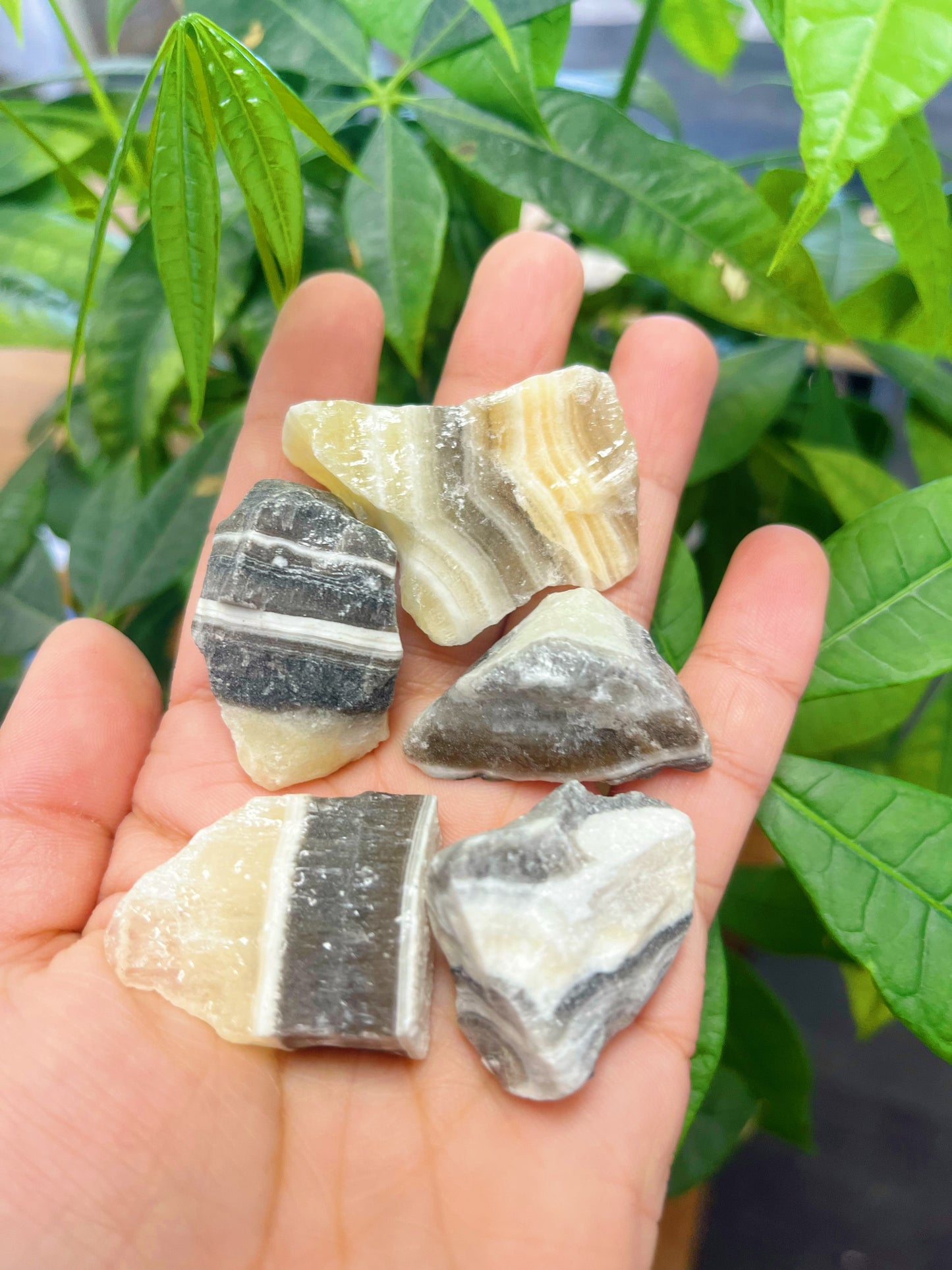 Zebra Calcite Small Rough