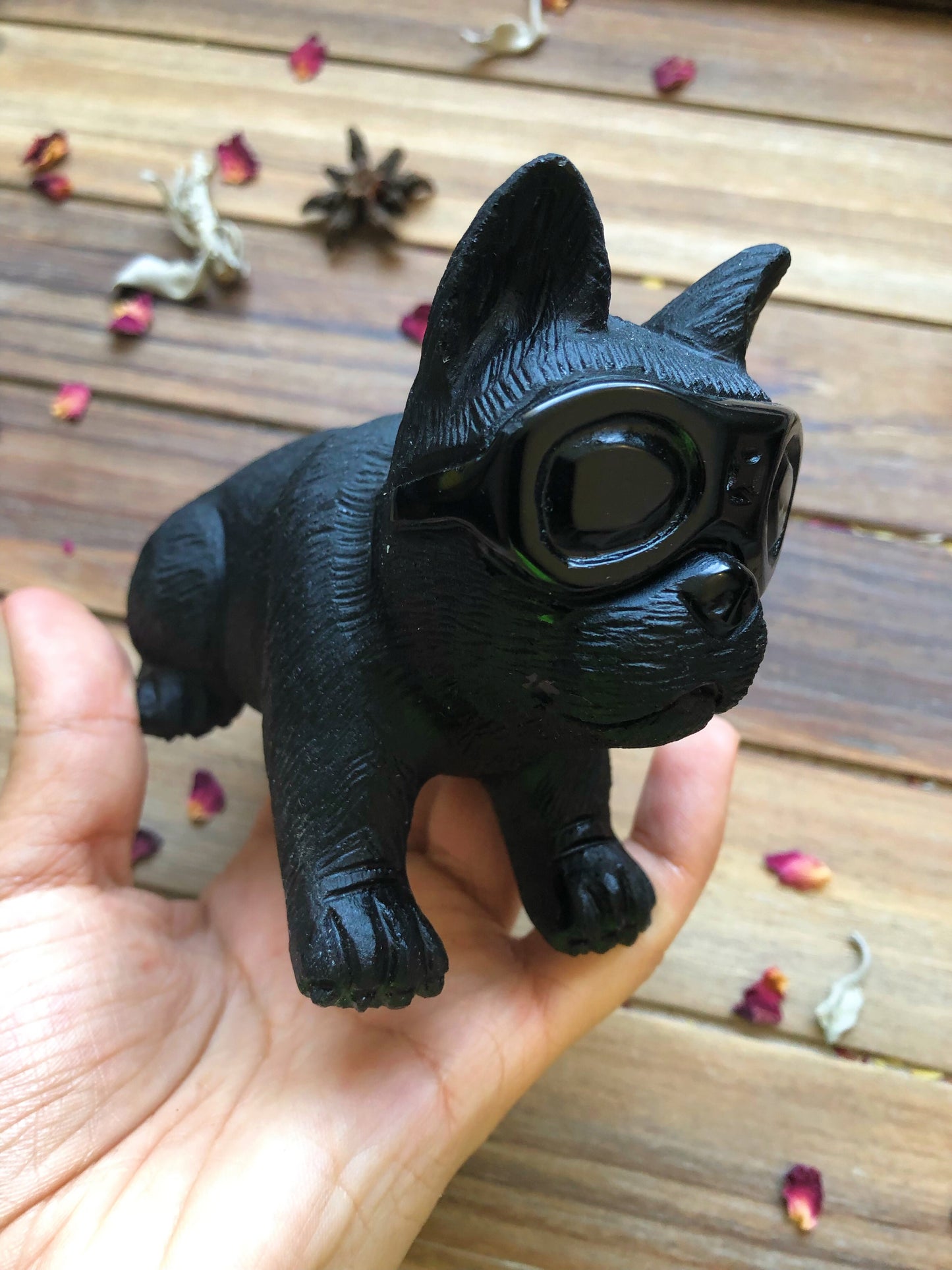 Black Obsidian Puppy with Goggles