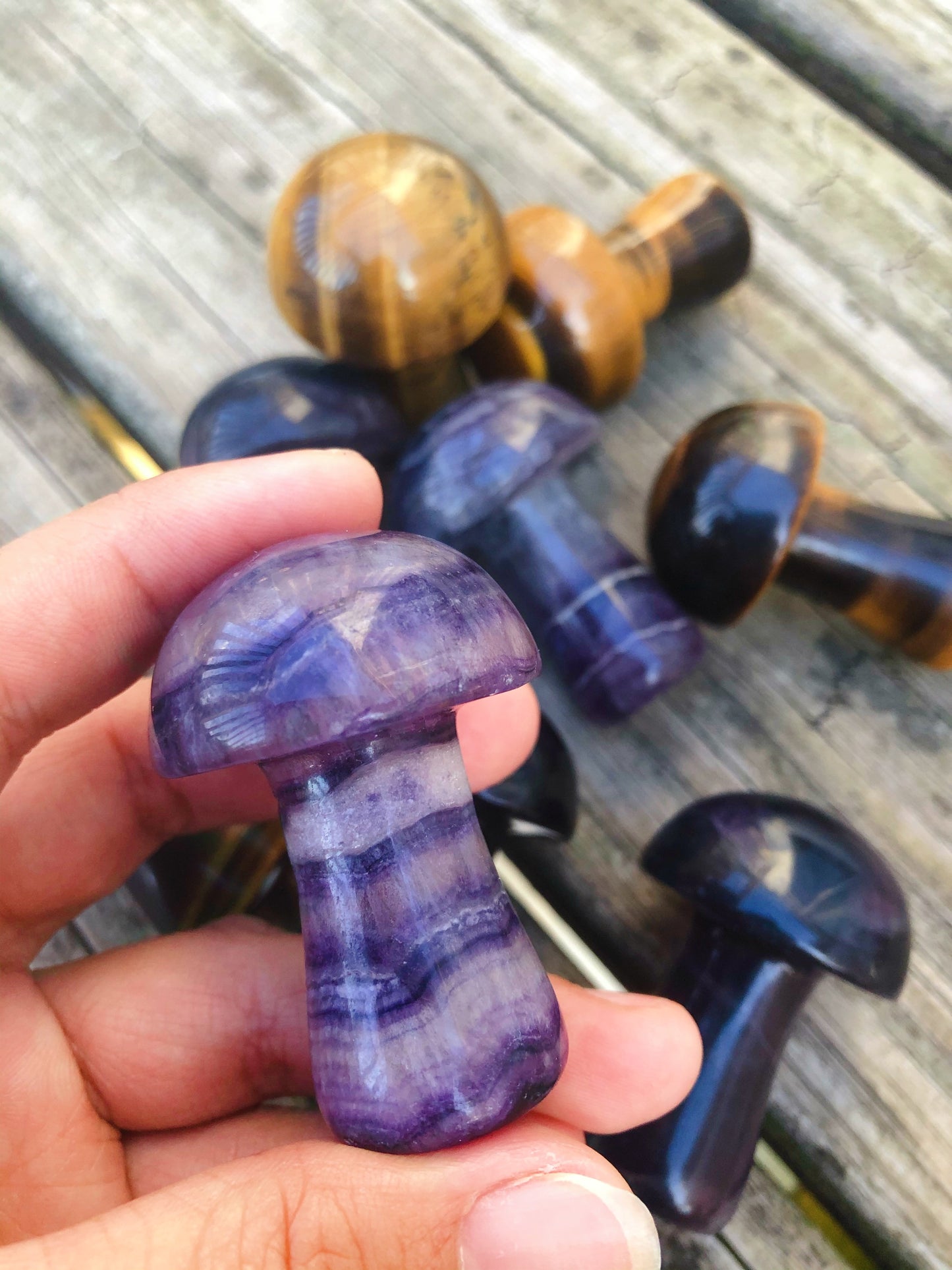 Rainbow Fluorite Mushroom
