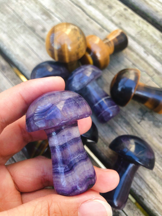 Rainbow Fluorite Mushroom