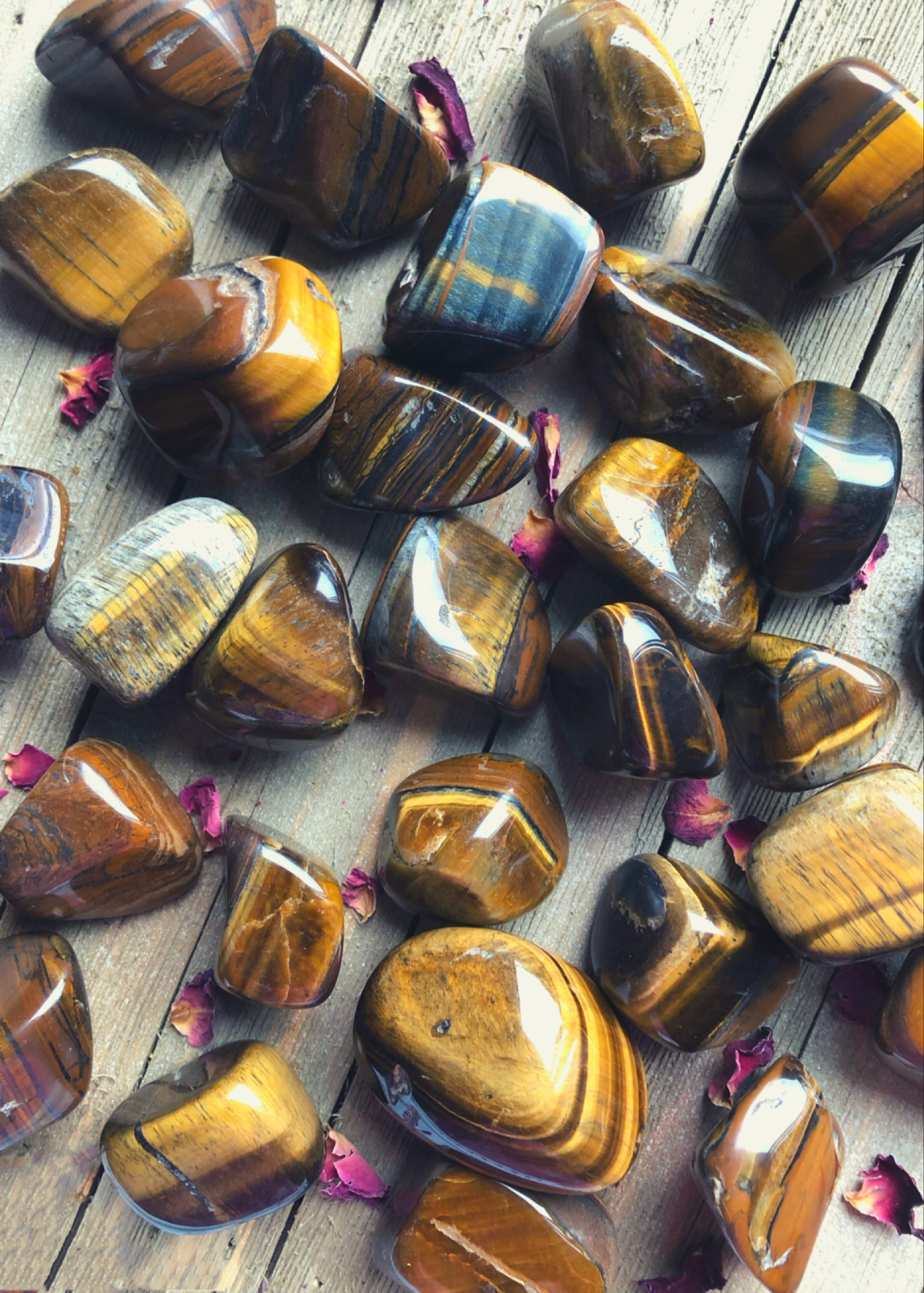 Tigers Eye Tumbled