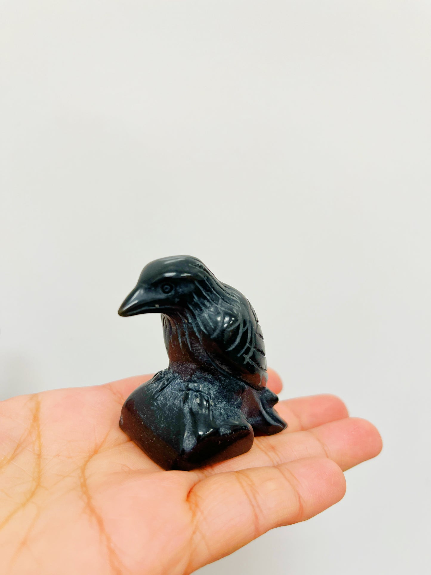 Raven Black Obsidian