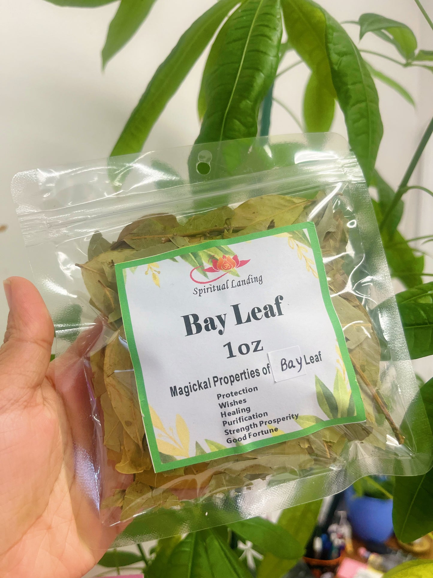 Bay Leaf ( 1oz )