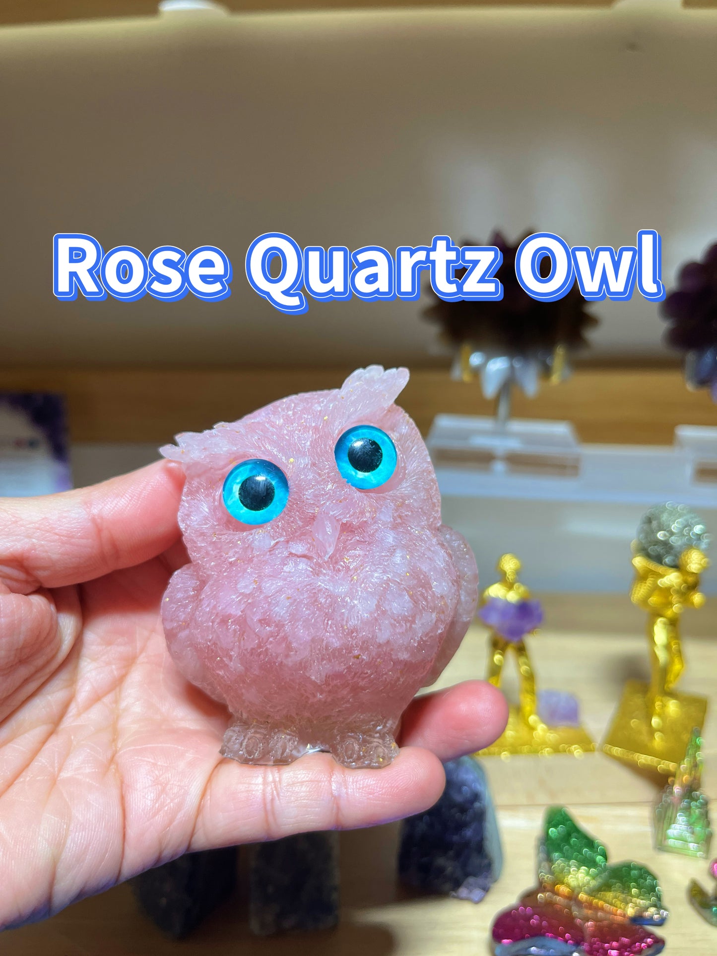 Owls