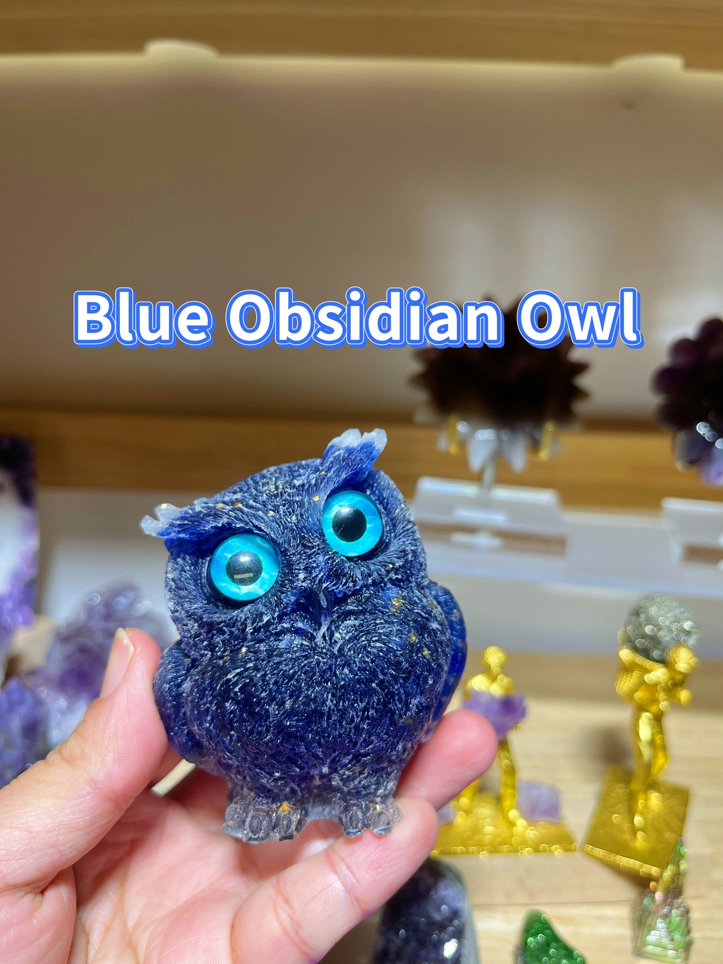 Owls