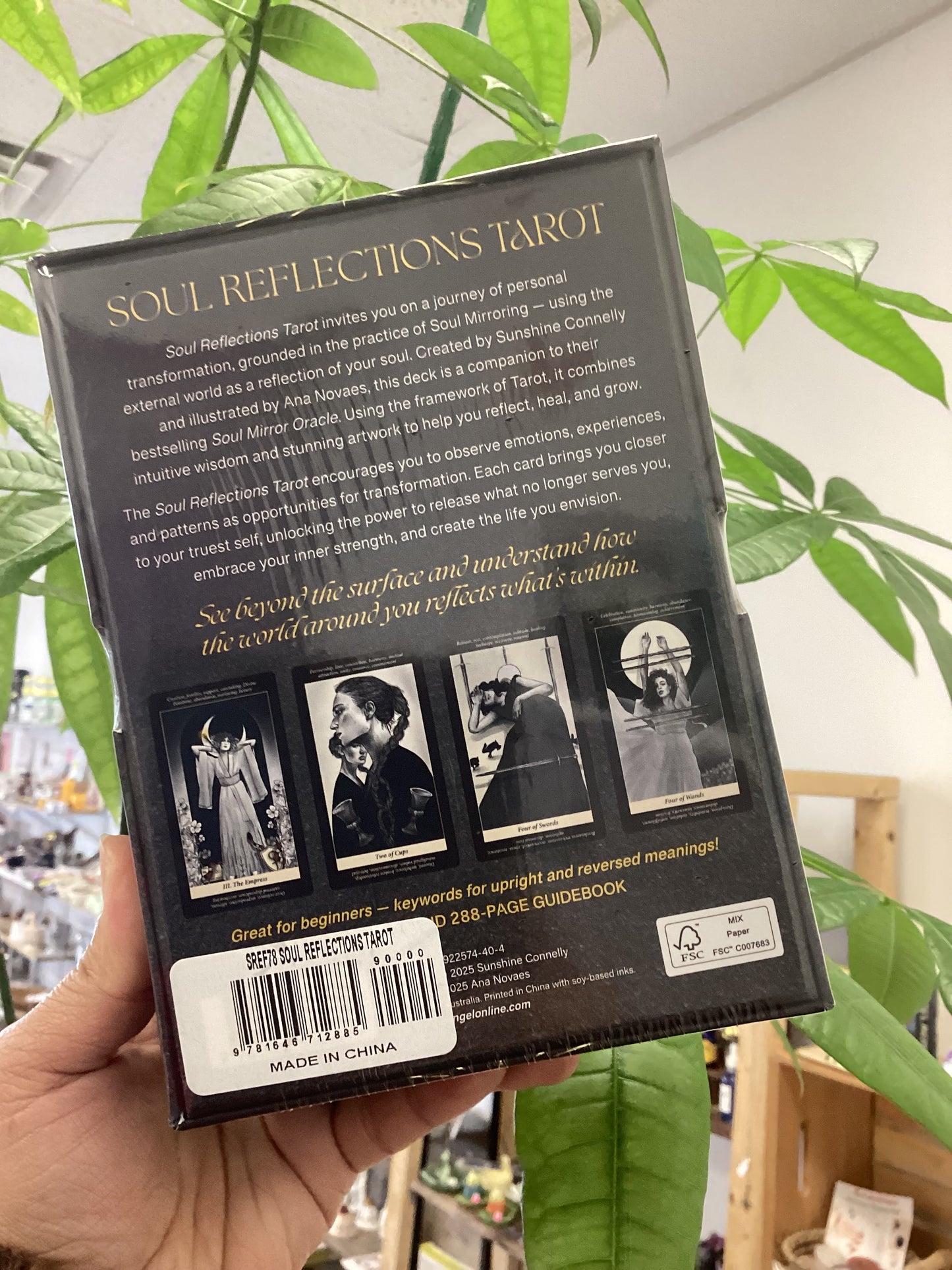 Soul Reflections Tarot