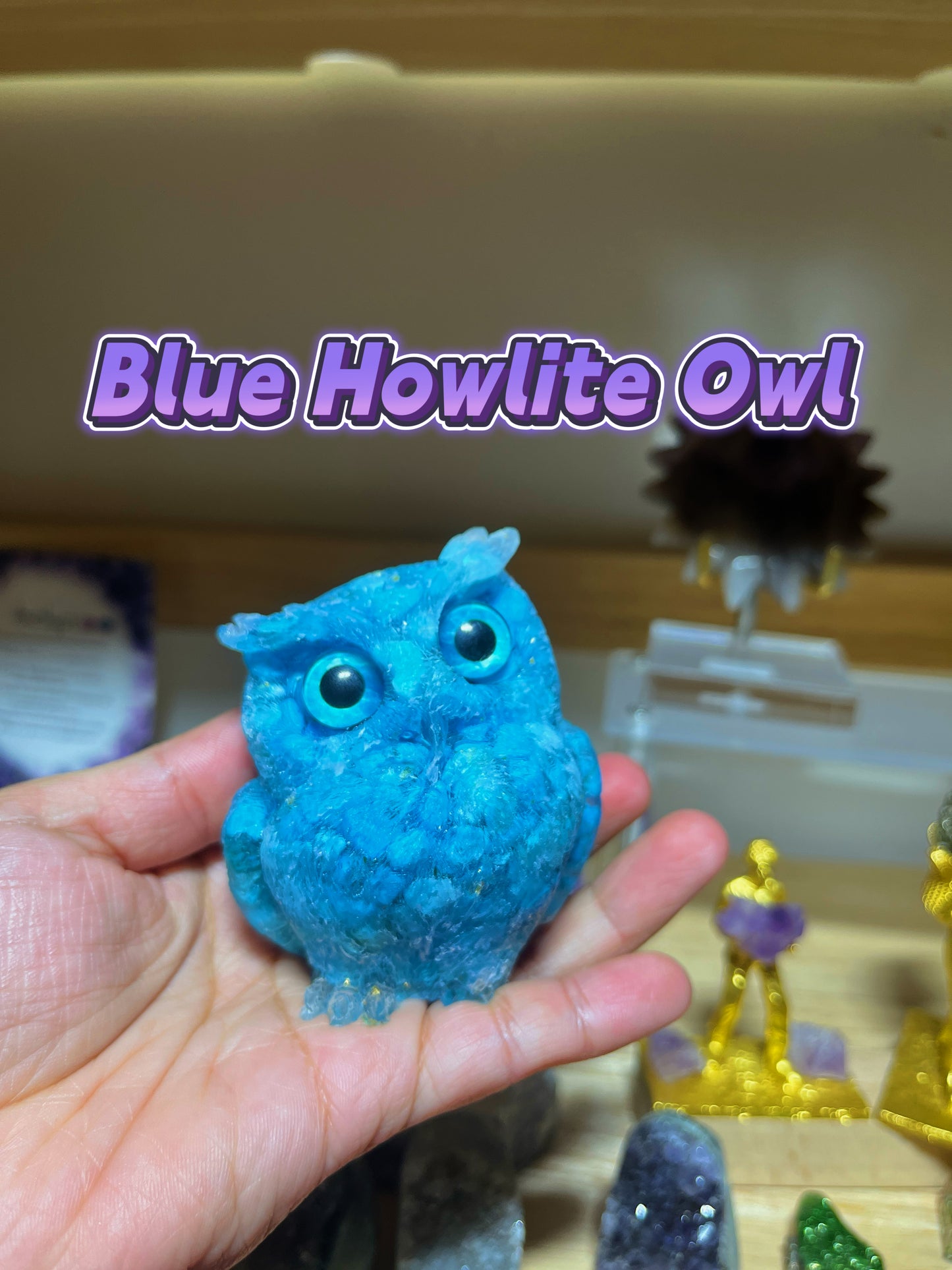 Owls