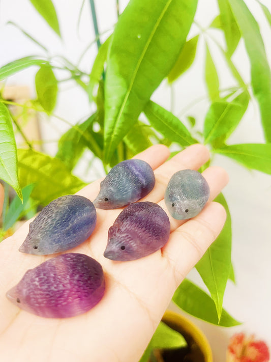 Hedgehog Rainbow Fluorite