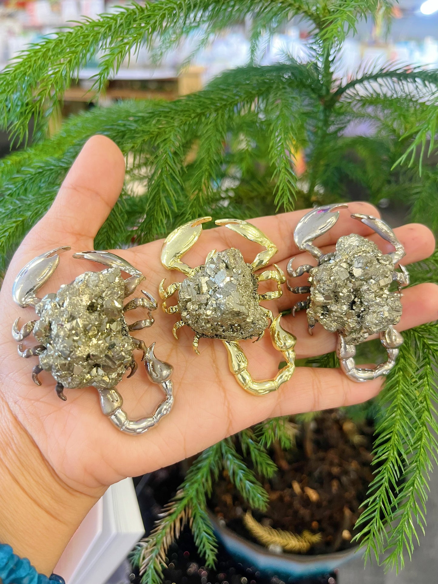 Pyrite Scorpions