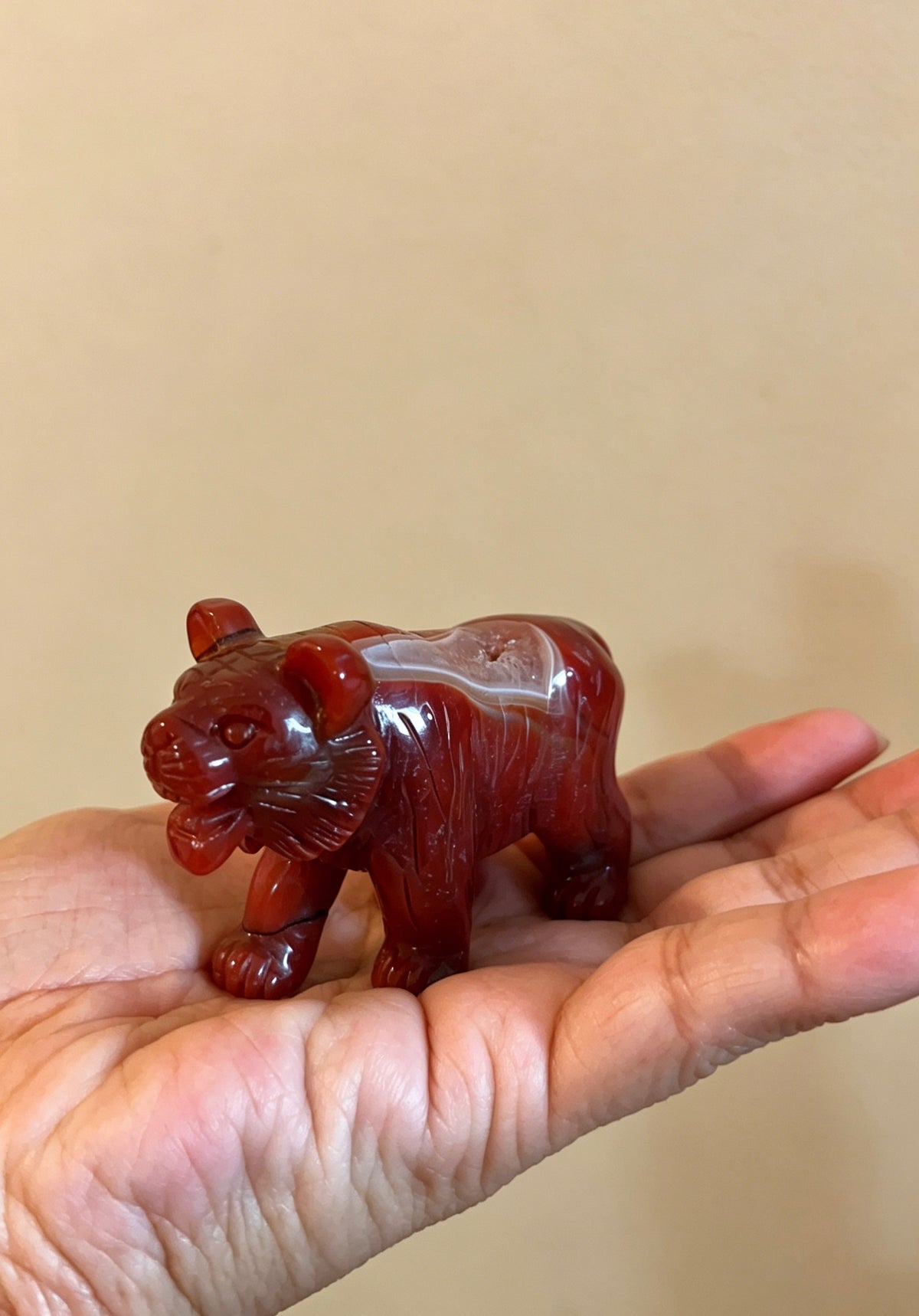 Carnelian tiger caving