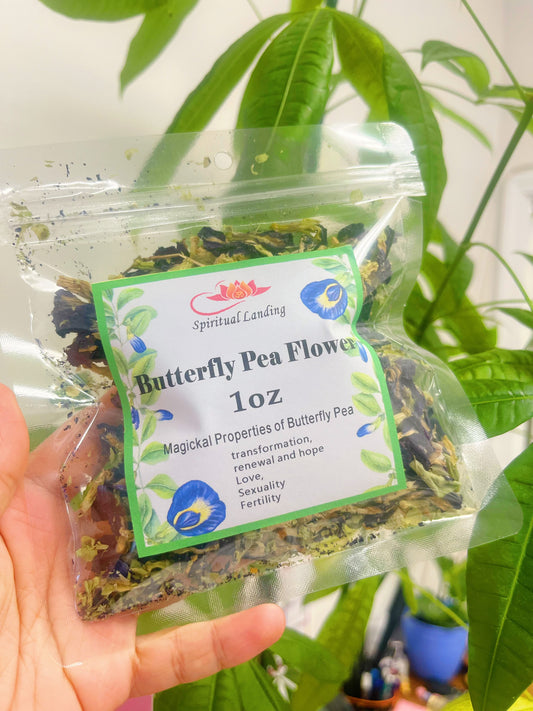 Butterfly Pea Flower