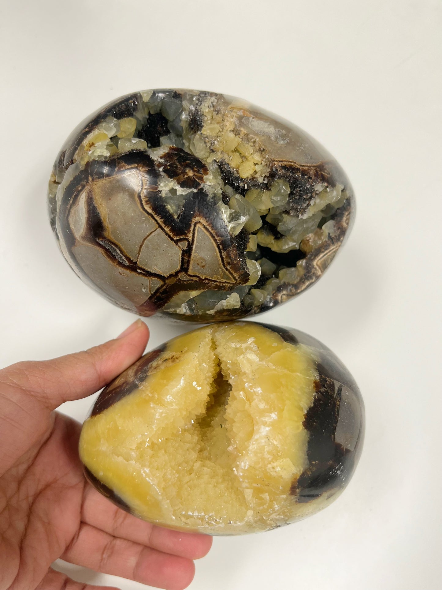 Septarian Egg