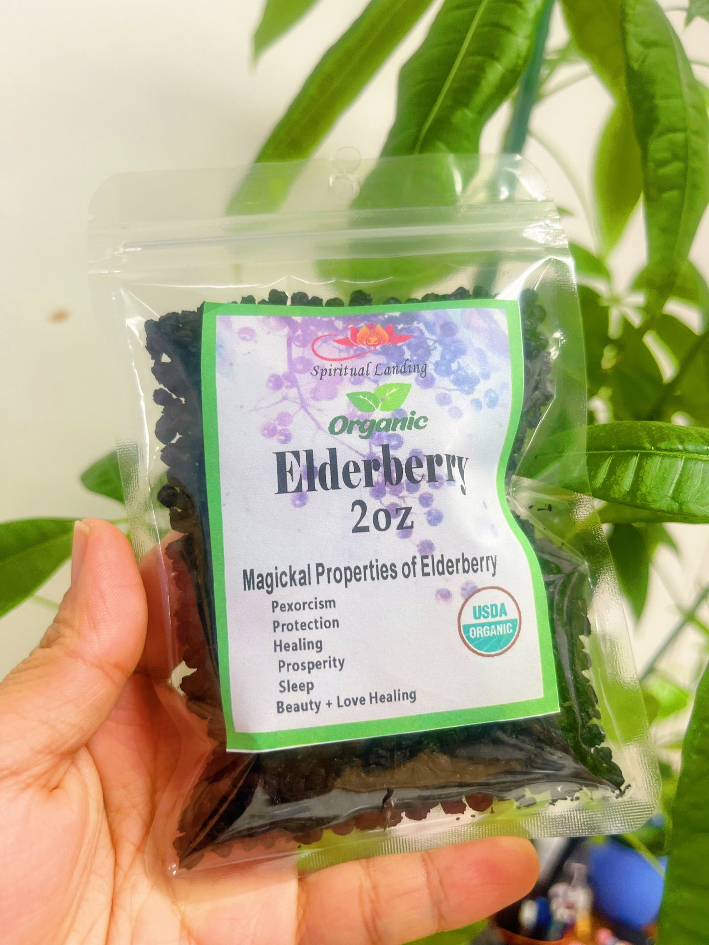 Organic Elderberry 2oz