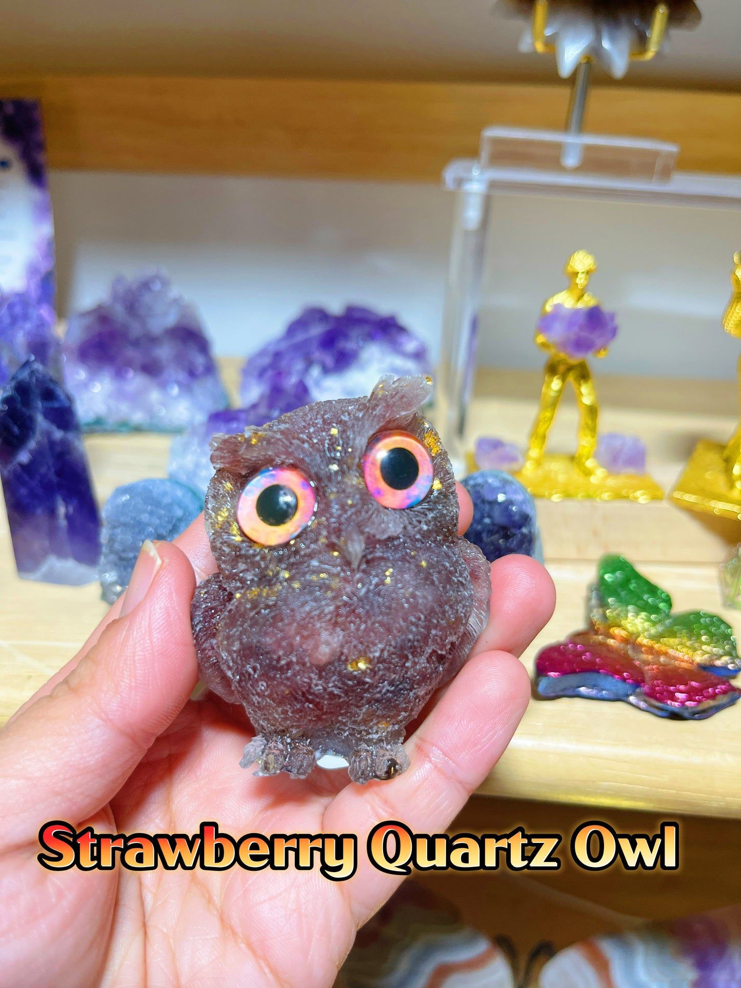 Owls
