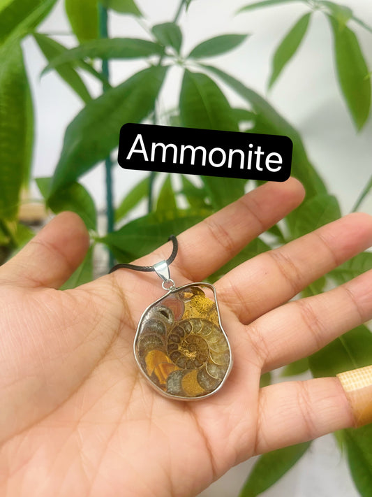 Ammonite Necklace