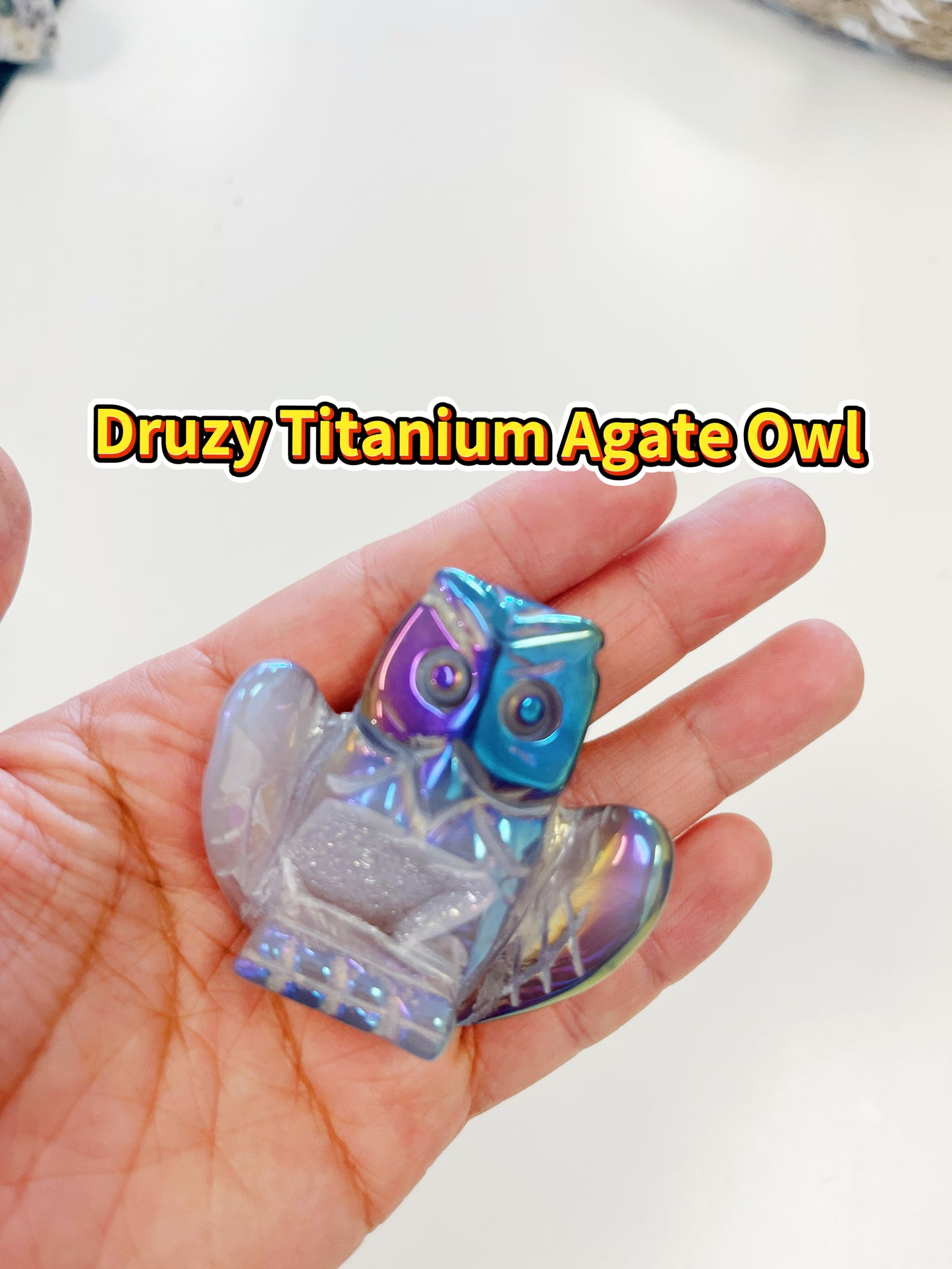 owl turtle Aura Druzy Agate Carvings