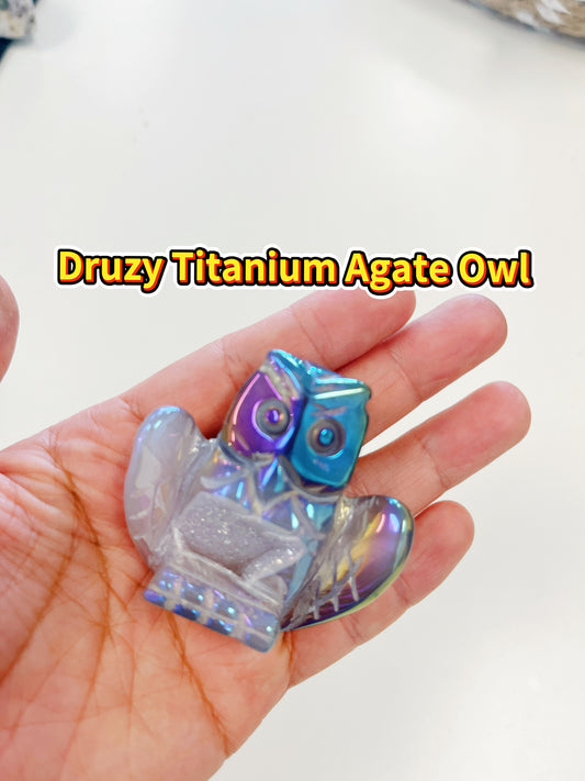 owl turtle Aura Druzy Agate Carvings