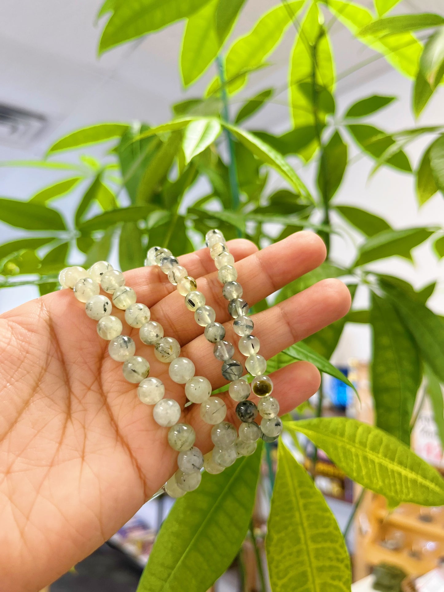 Prehnite Bracelet 8mm
