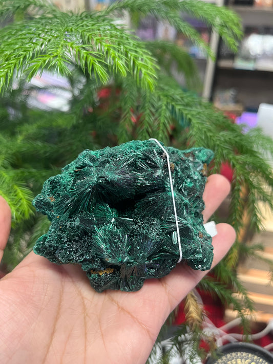 Nambia Fibrous Malachite Cluster