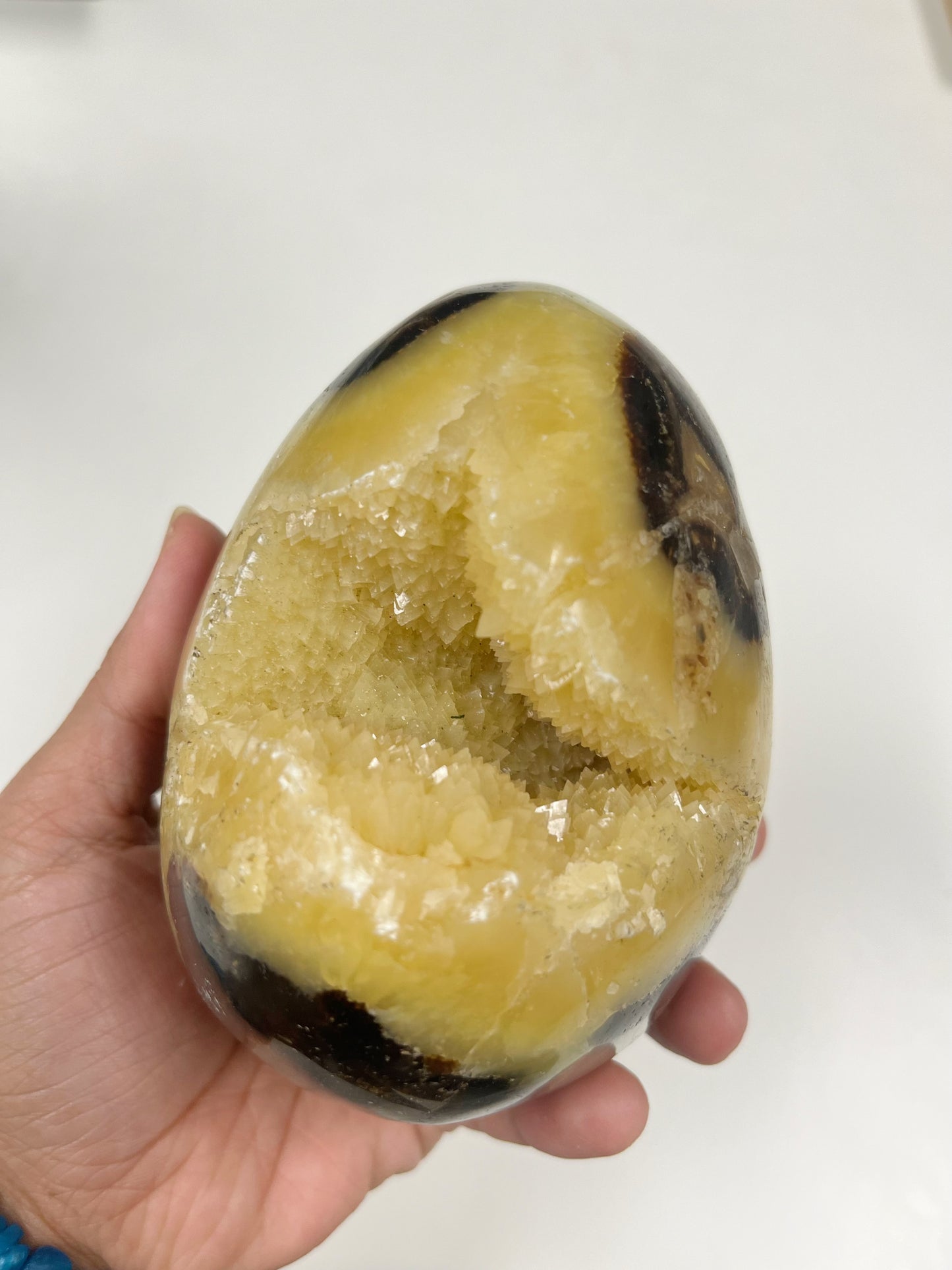 Septarian Egg