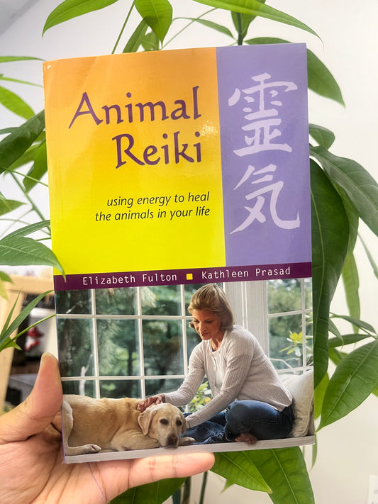 Animal Reiki