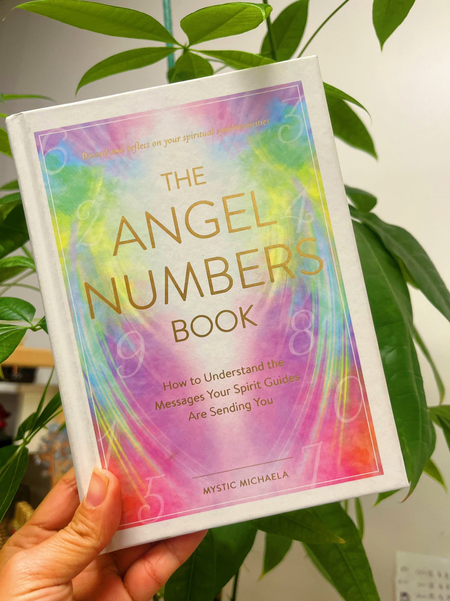 Angel Numbers Book