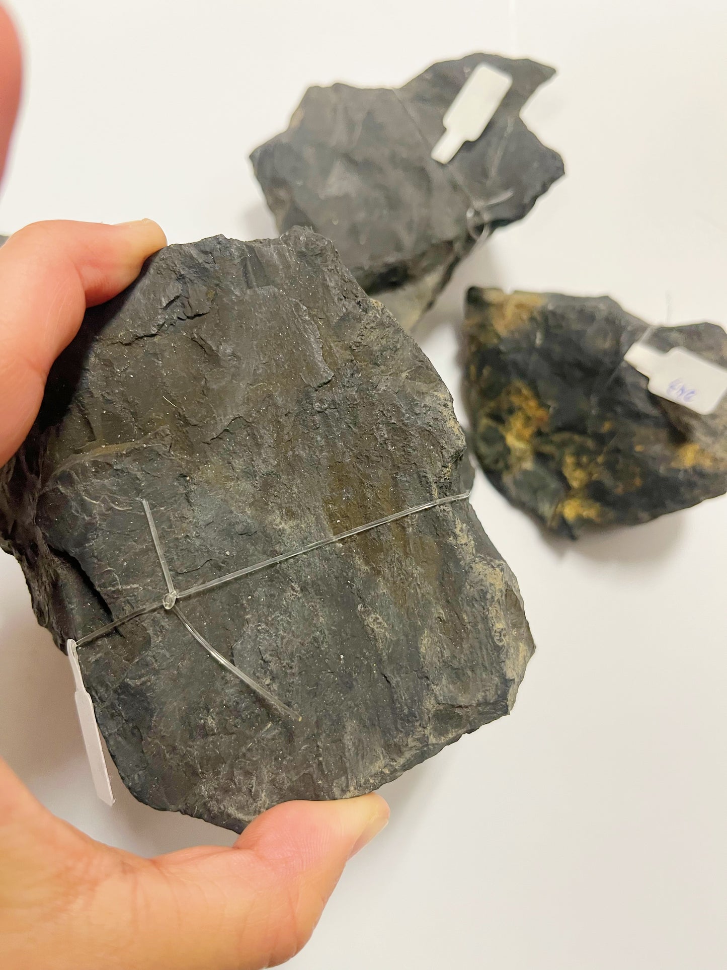 Russia Shungite Rough