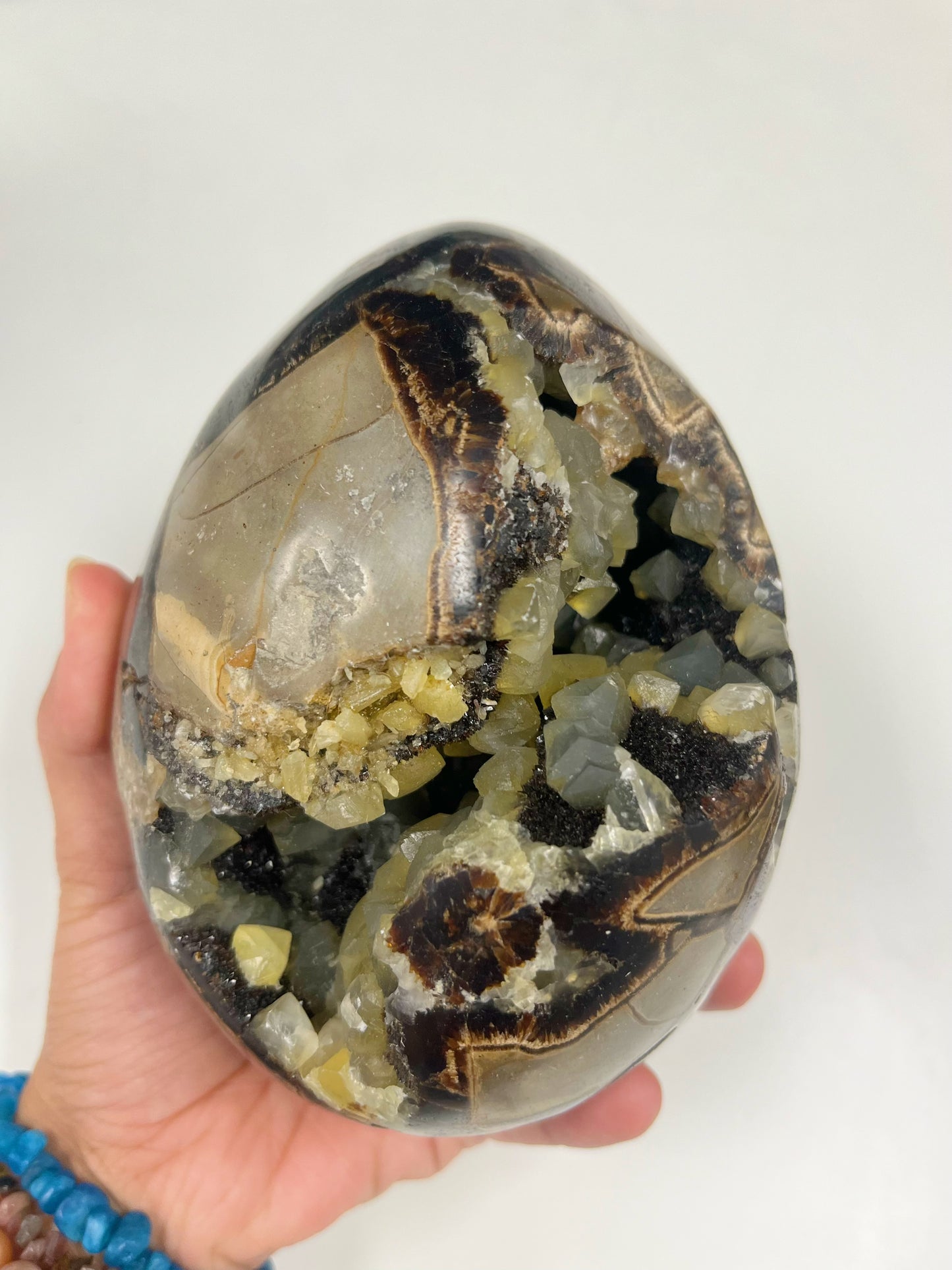 Septarian Egg