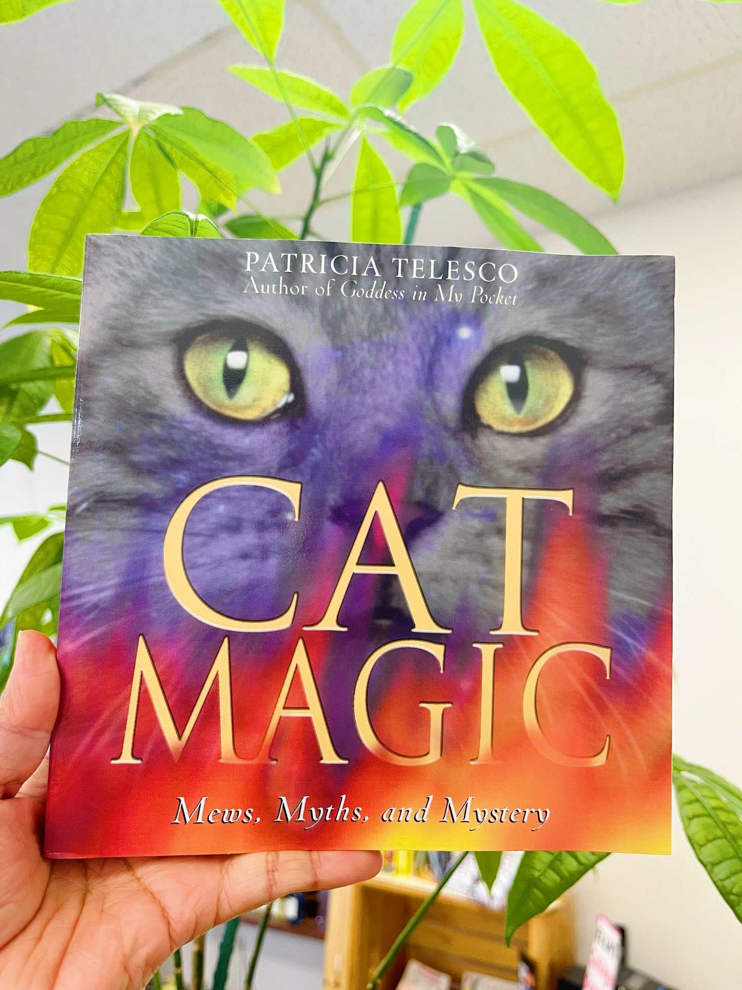 Cat Magic: Mews, Myths, and Mystery