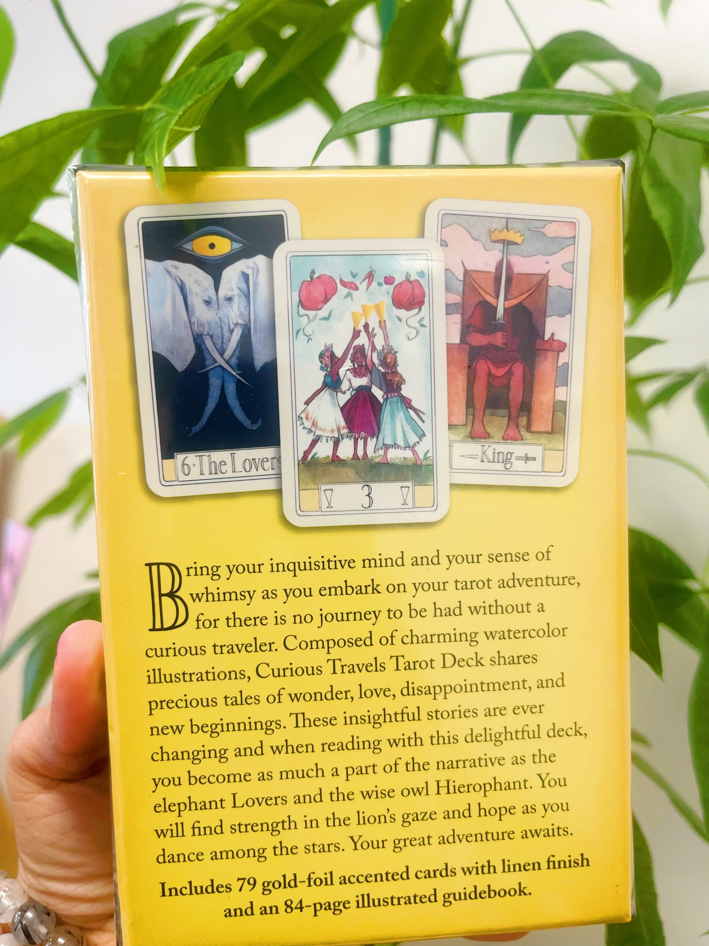 Deviant Moon Tarot Borderless Edition