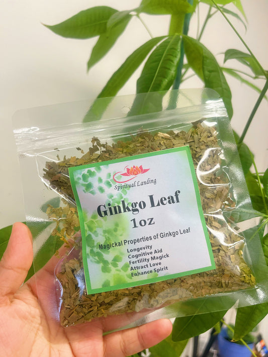 Ginkgo Leaf 1oz