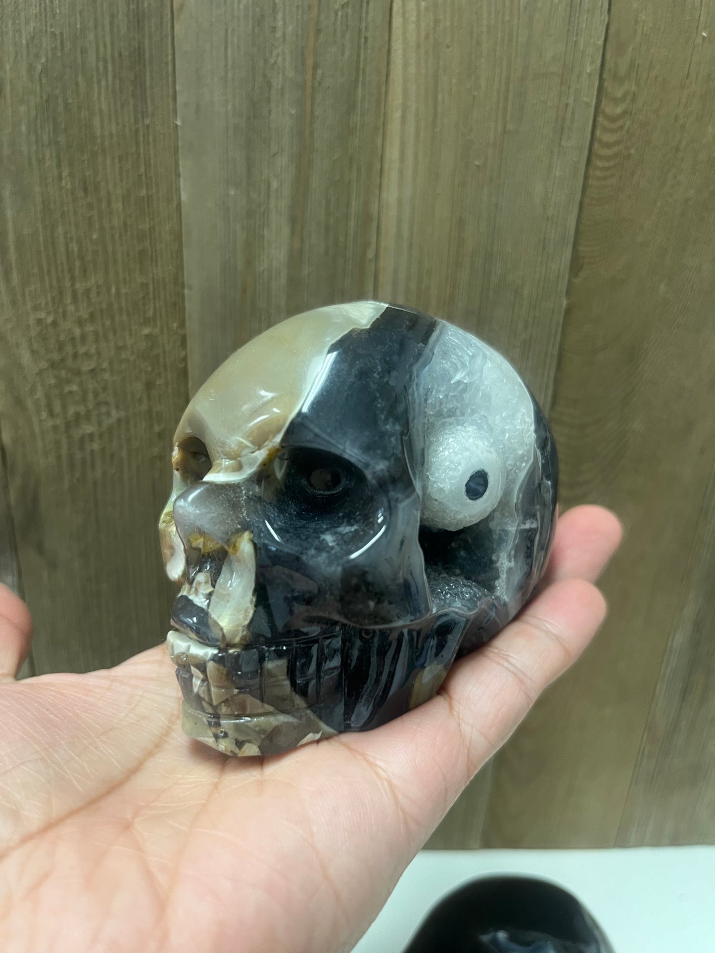 Volcano Agate Skulls