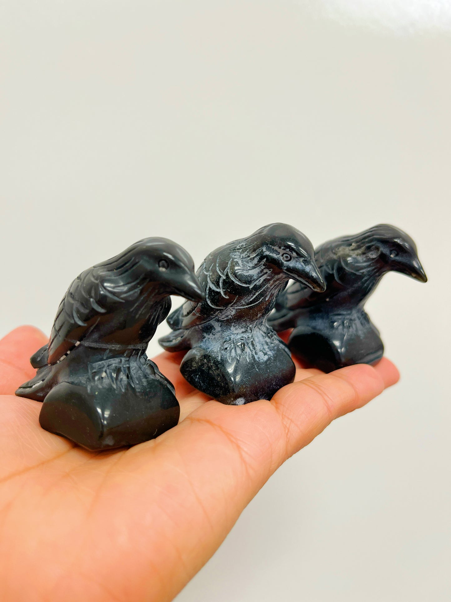 Raven Black Obsidian