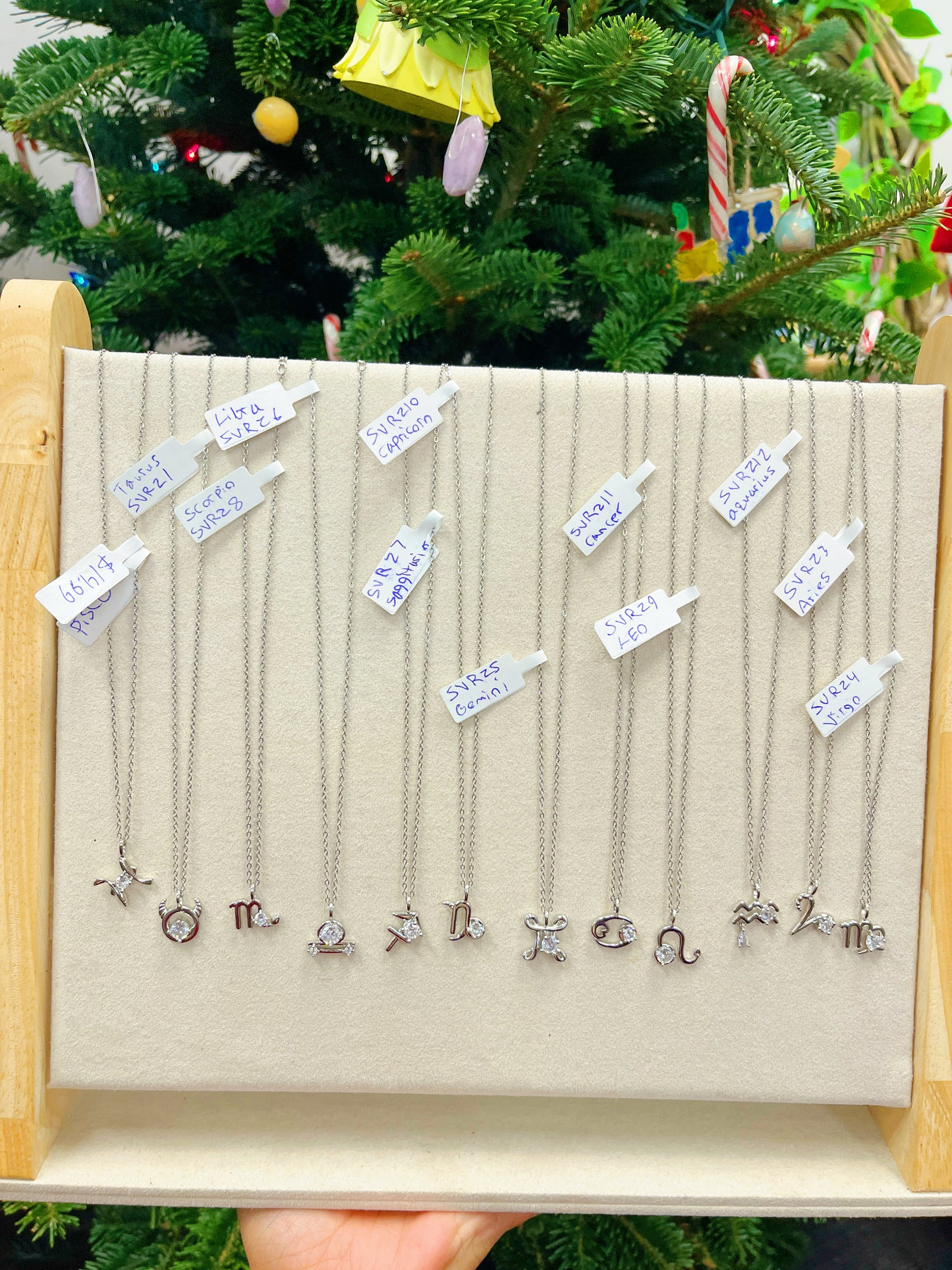 Petite Zodiac Necklace