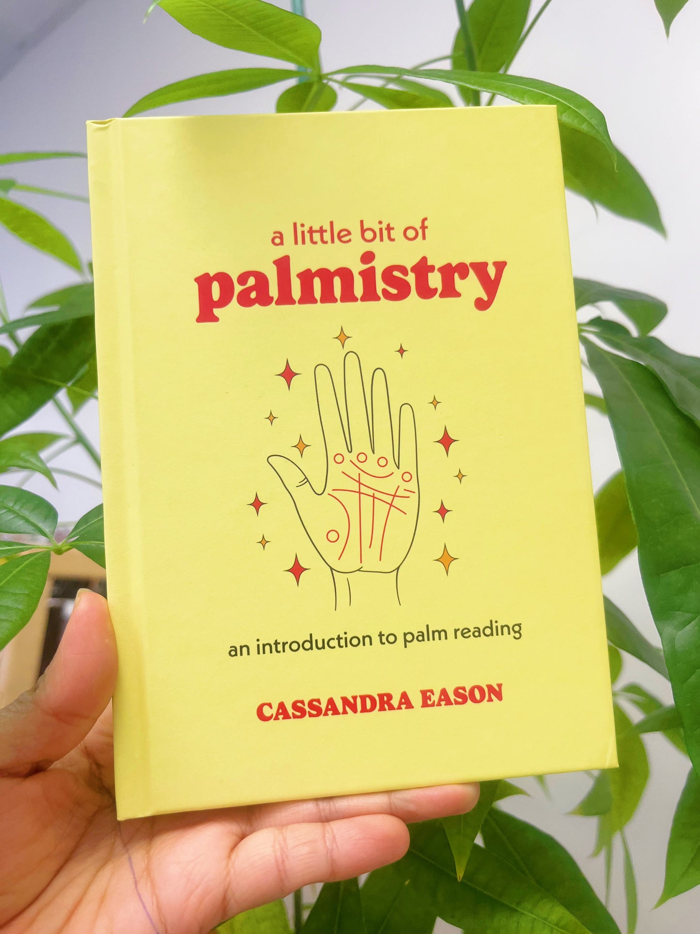 A Little Bit of Palmistry