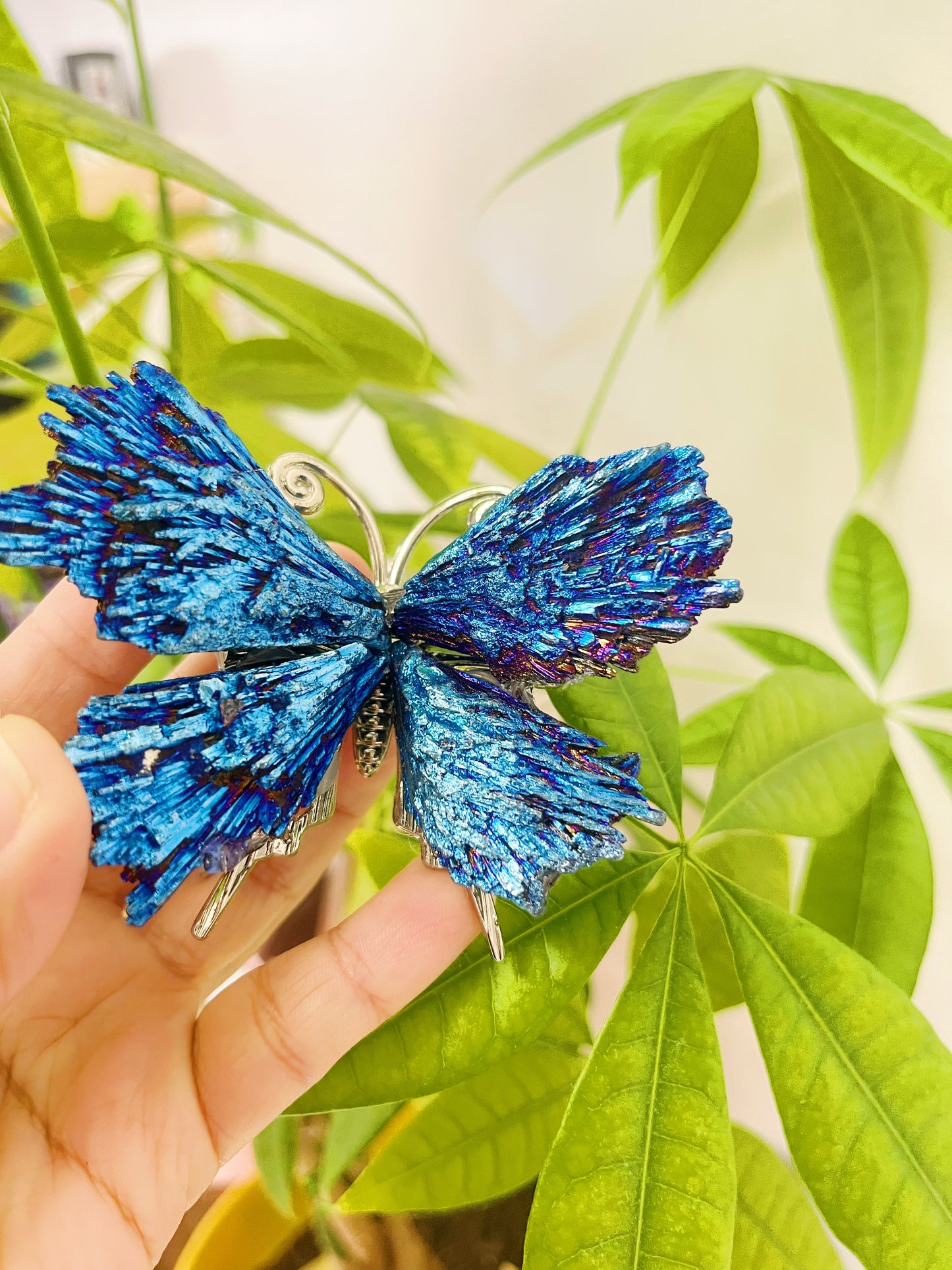 Titanium Kyanite butterfly