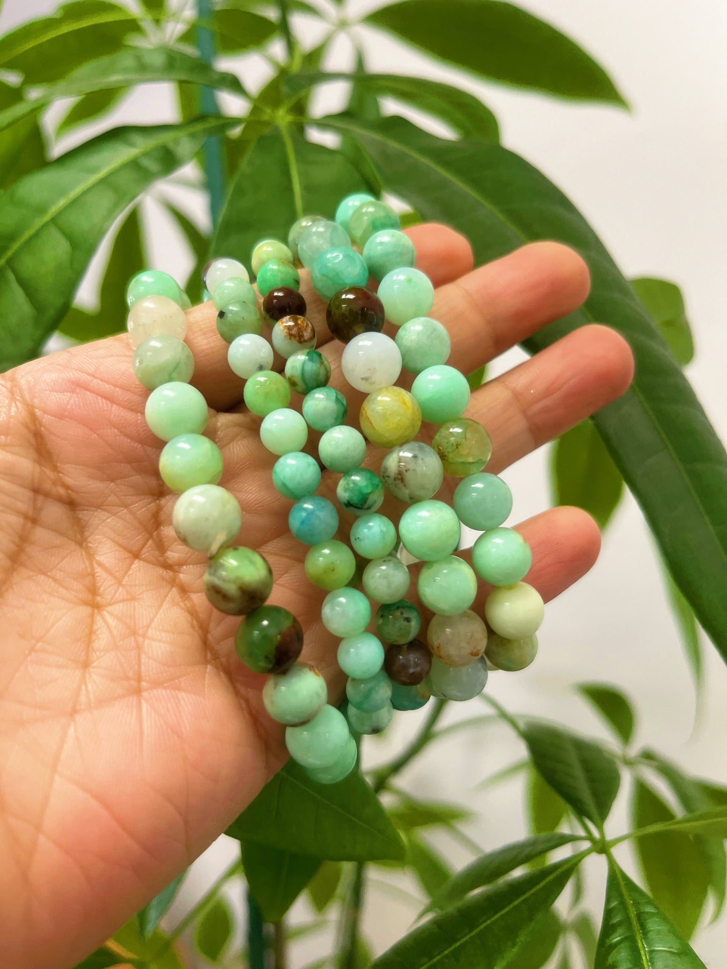 Chrysoprase Bracelets