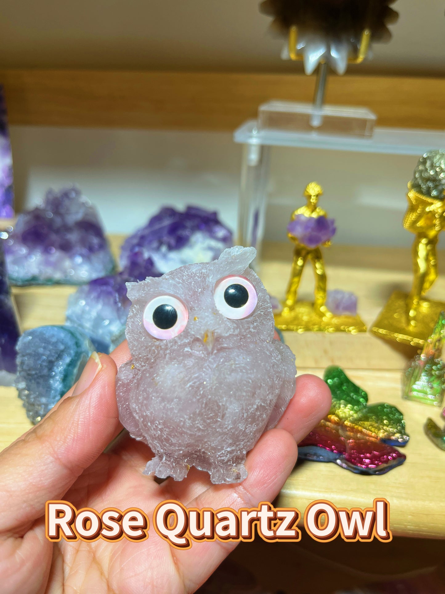 Owls