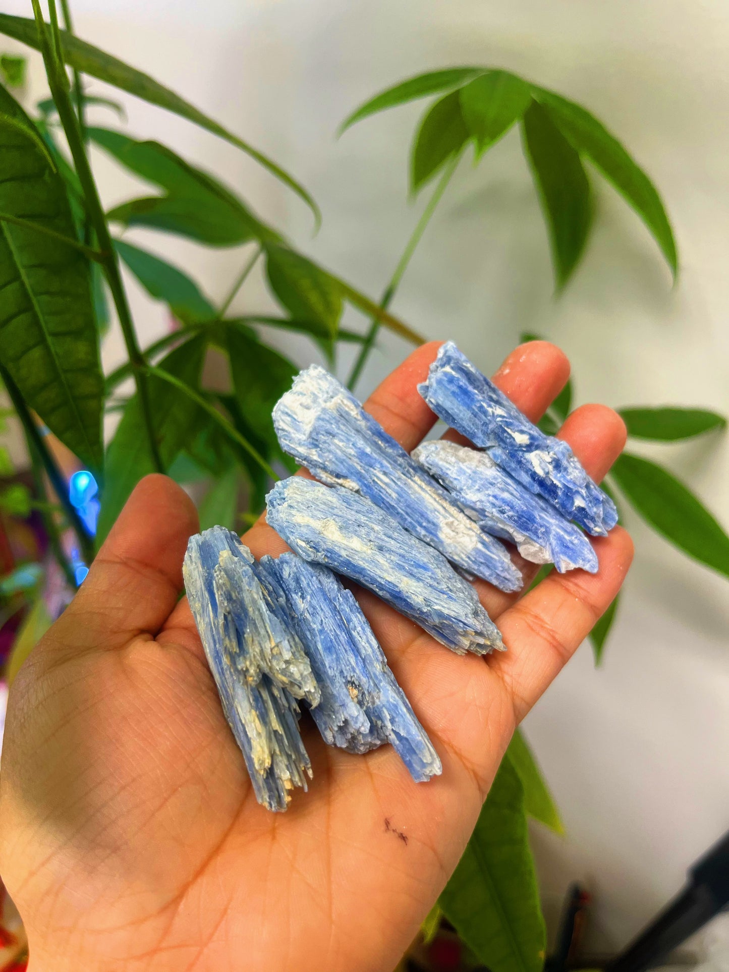 Blue Kyanite Rough Tumbled