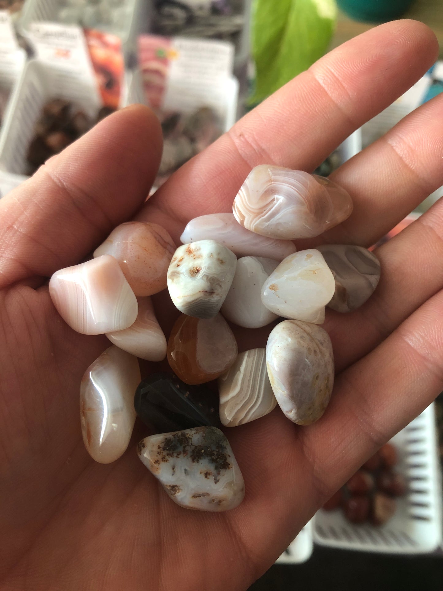 Botswana Agate Tumbled