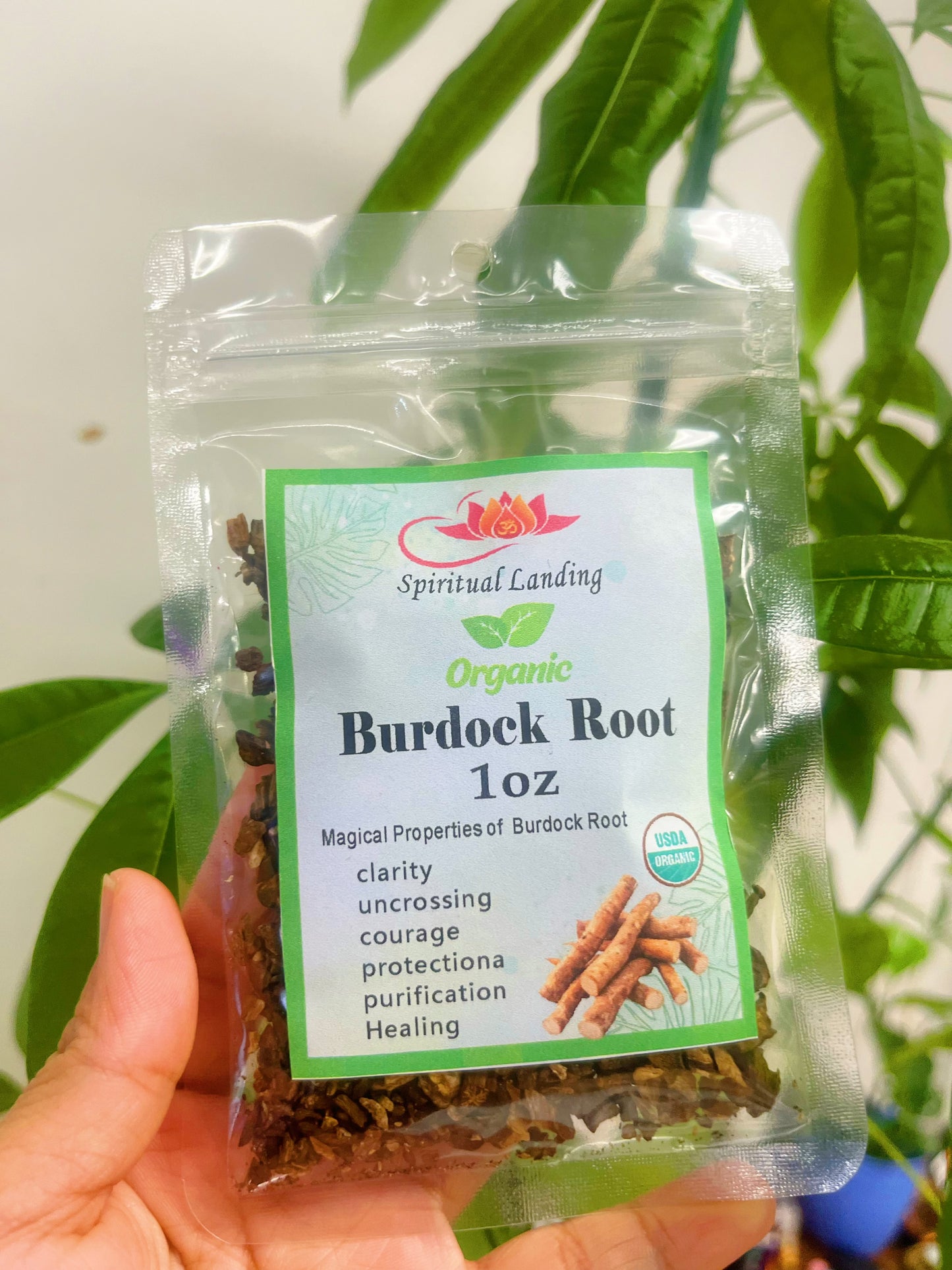 Organic Burdock Root 1oz