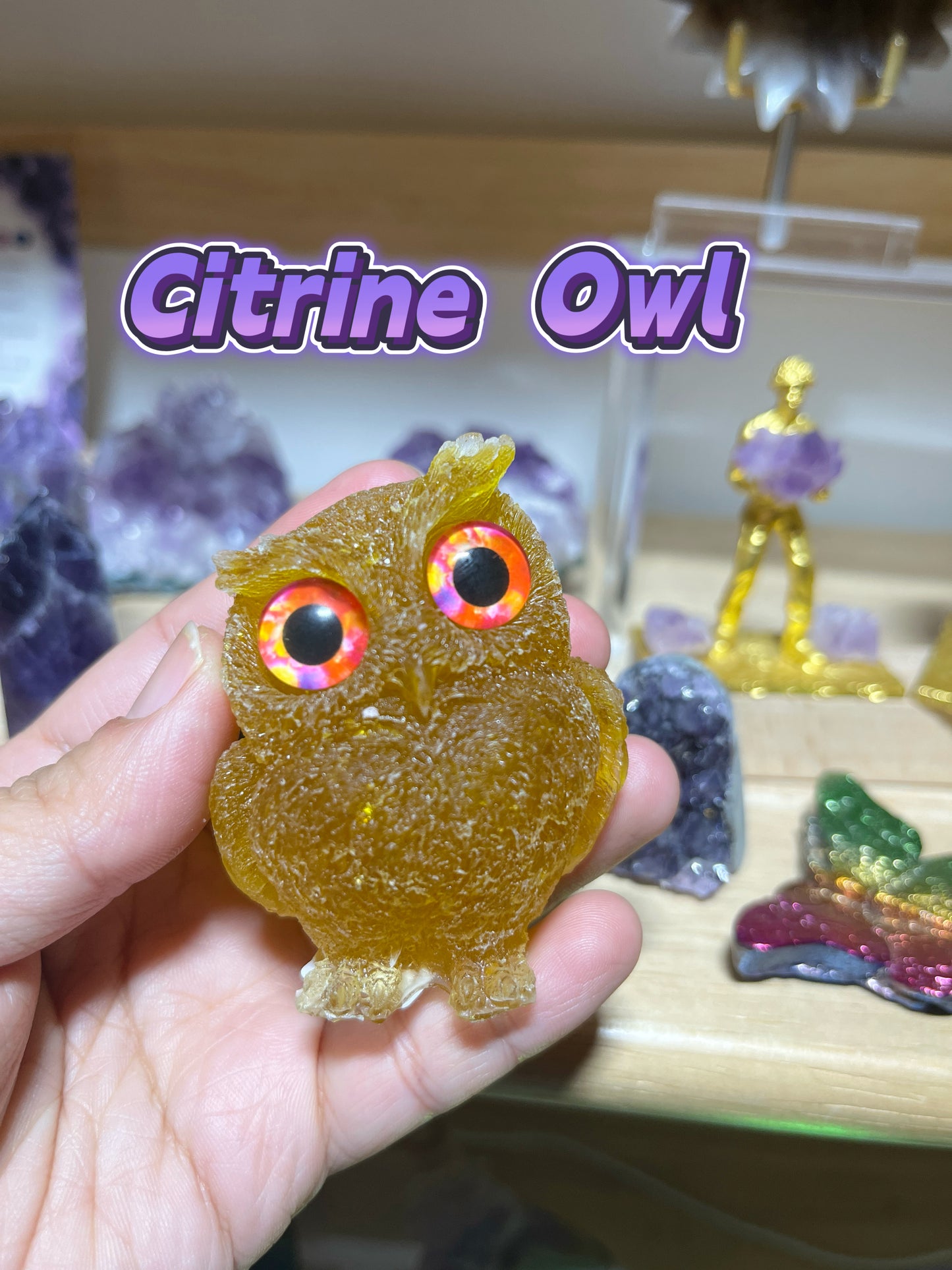 Owls