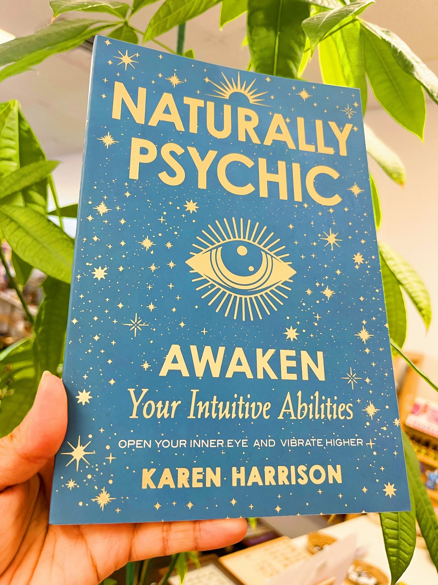 Naturally Psychic Awaken Your Intuitive Abilities Open Your Inner Eye and Vibrate Higher