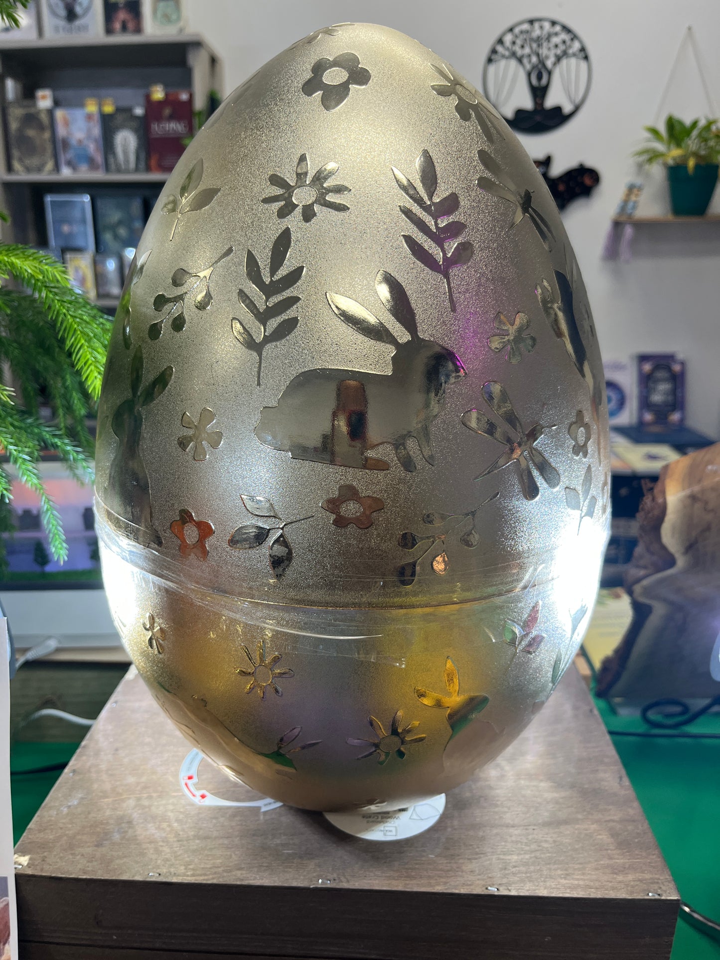 Mystery egg