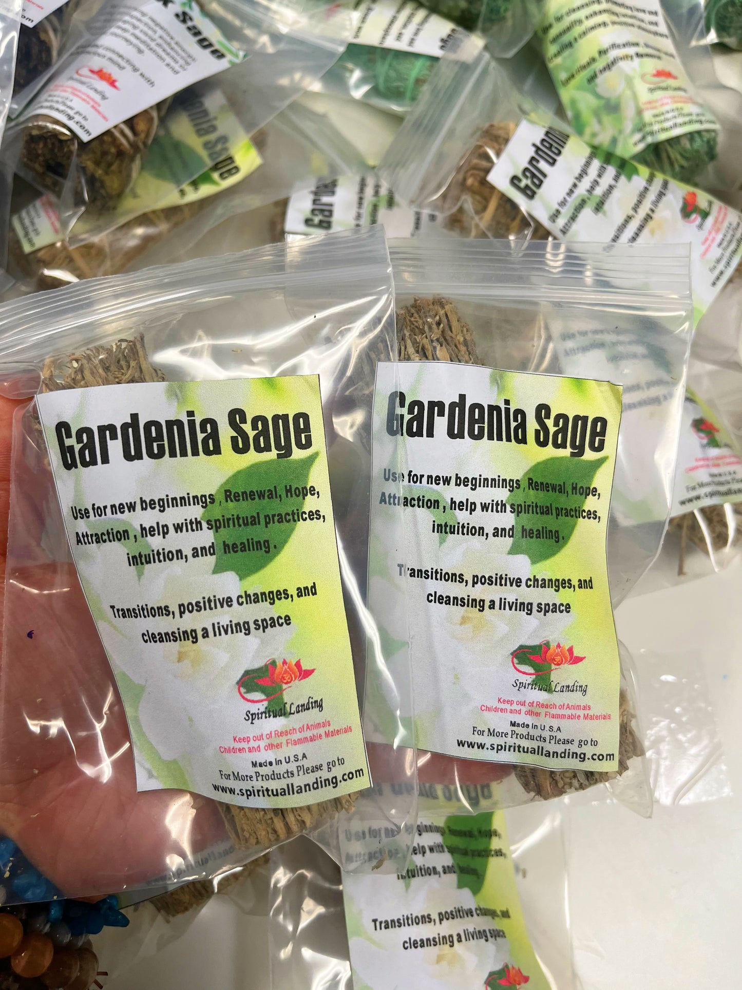 Gardenia Sage