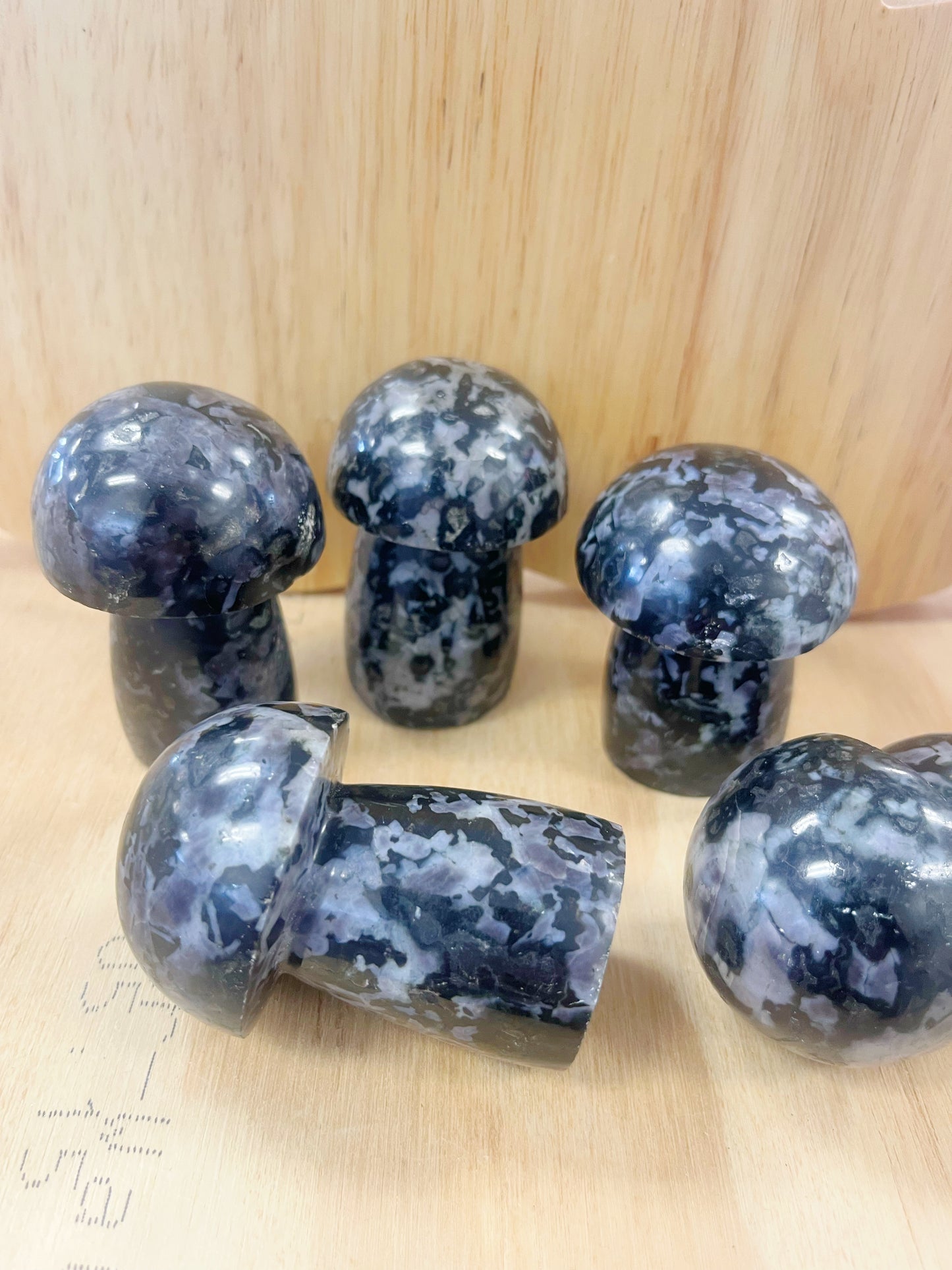 Indigo Gabbro Jasper Mushroom