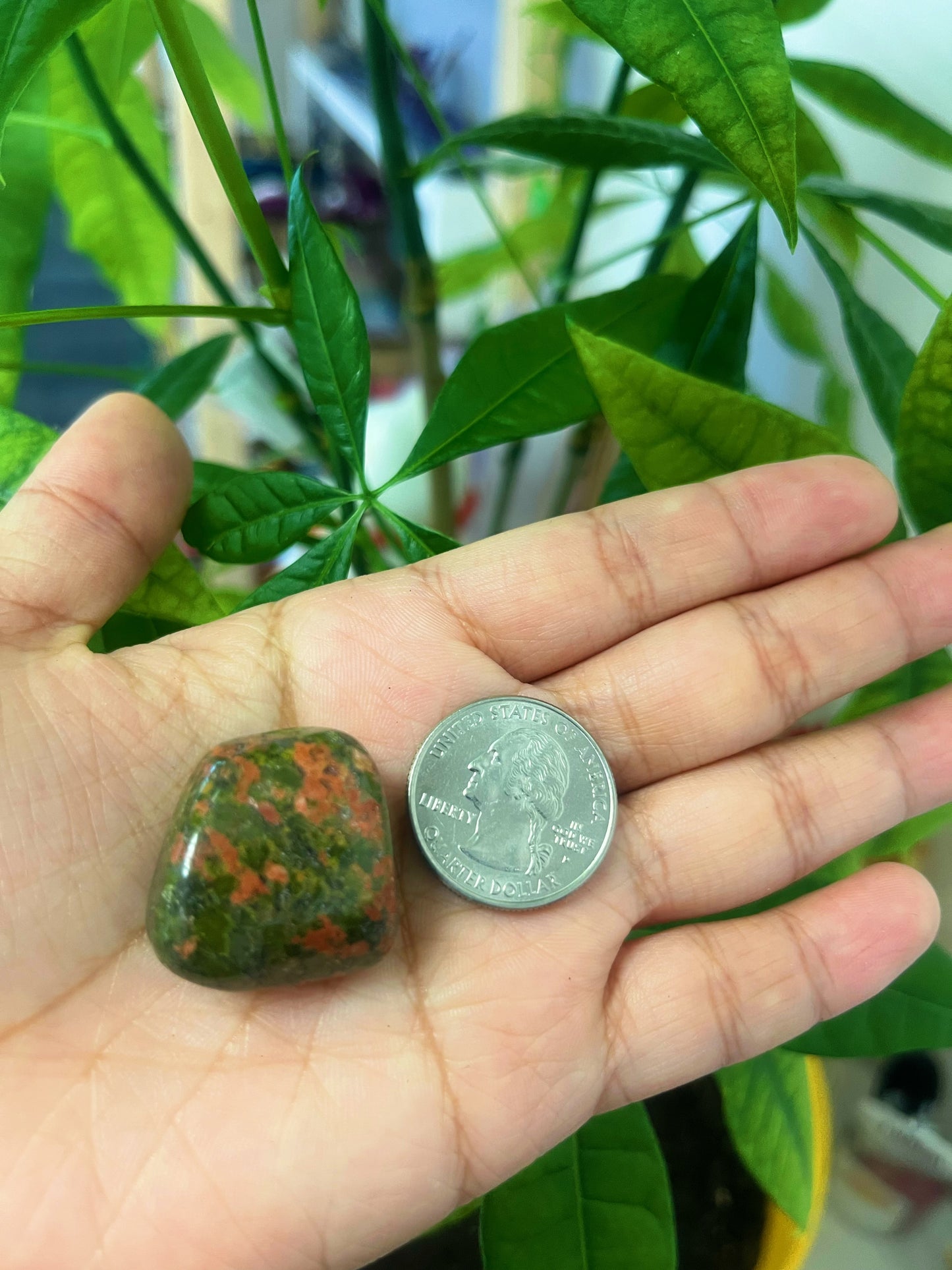 Unakite Tumbled